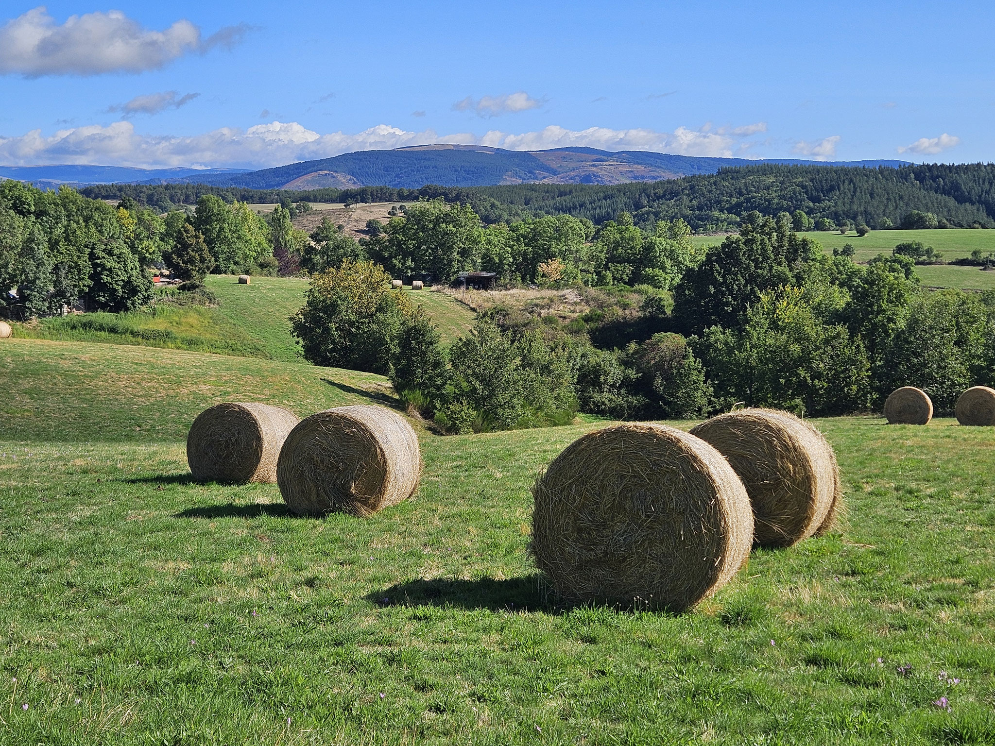 Bei Barre-des-Cévennes.