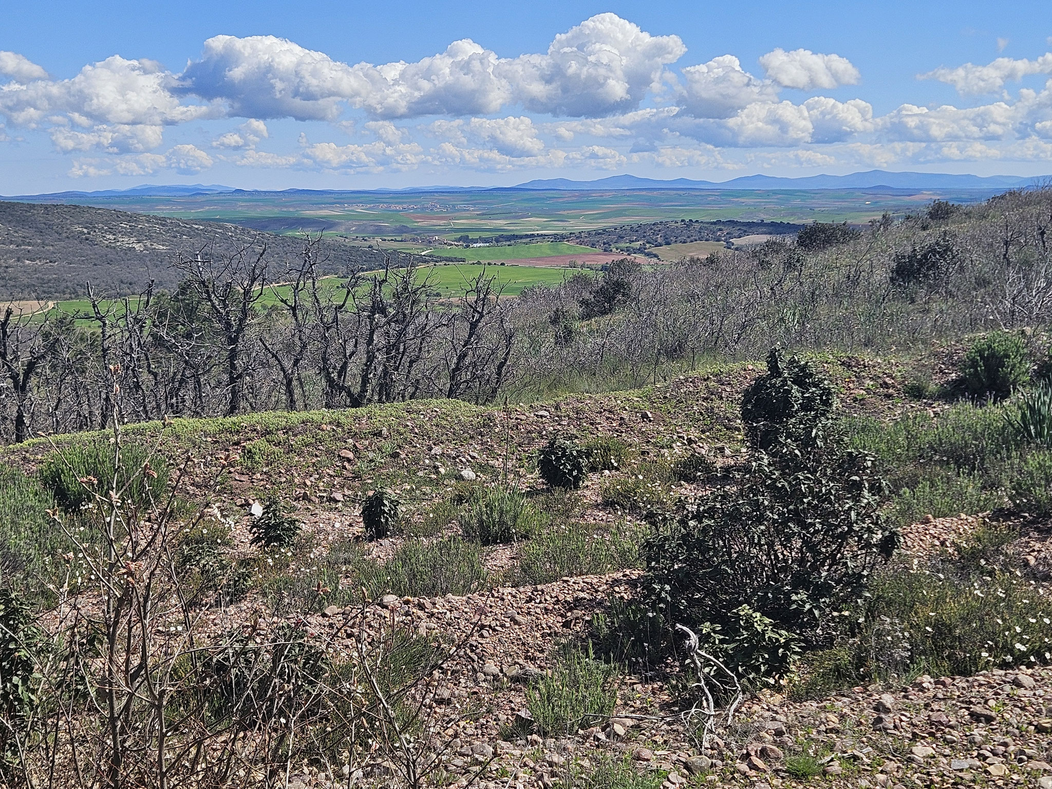 Pie de l'Hombre, Blick nach Norden, Rueda de la Sierra.