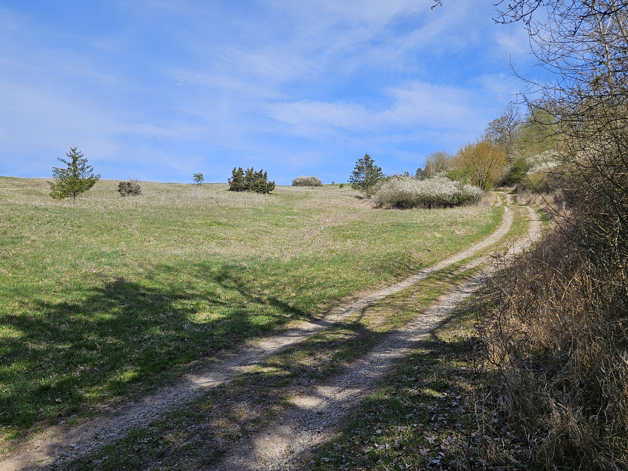 Westhang des Eichelbergs.
