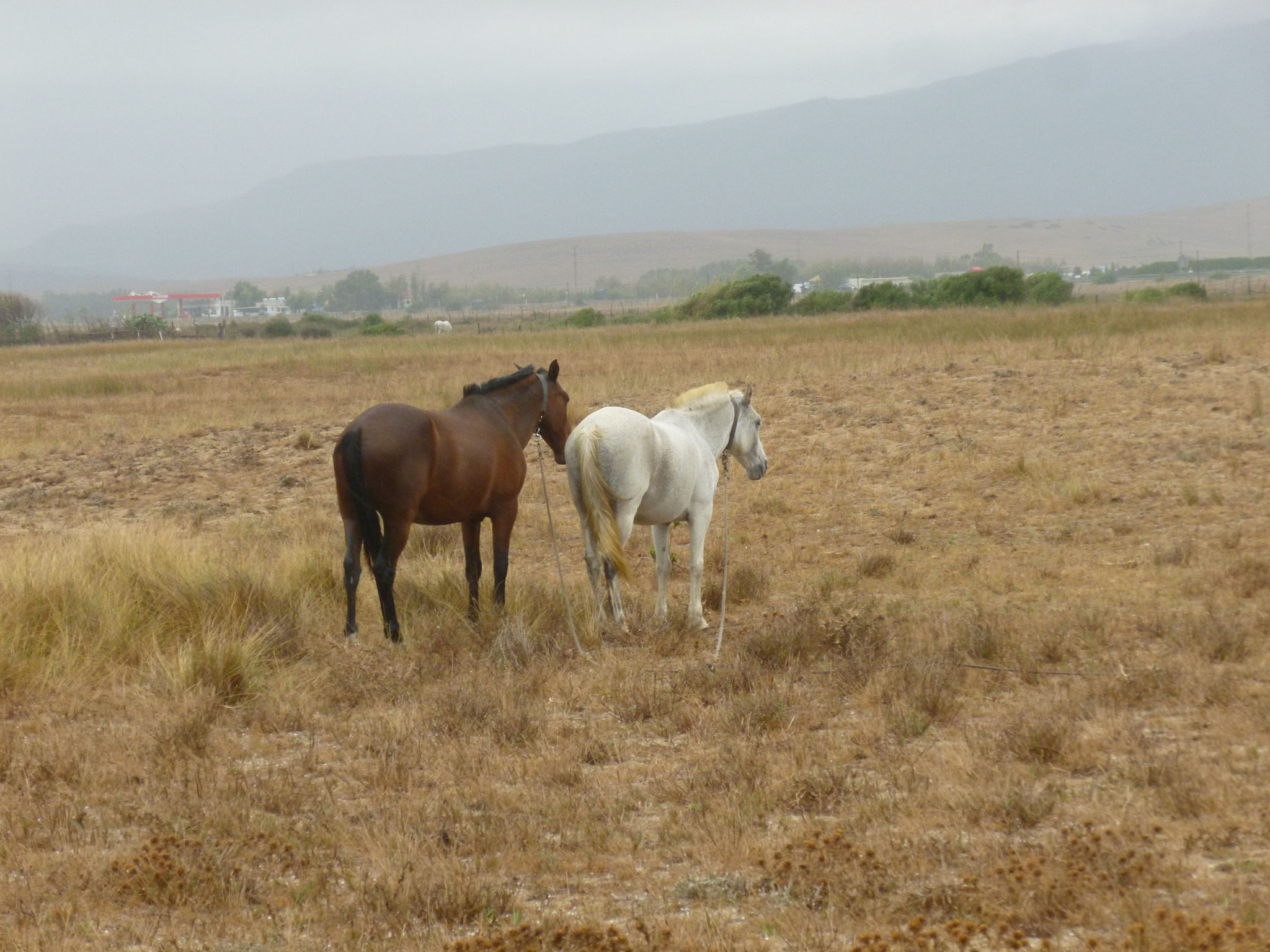 Playa de los Lances.