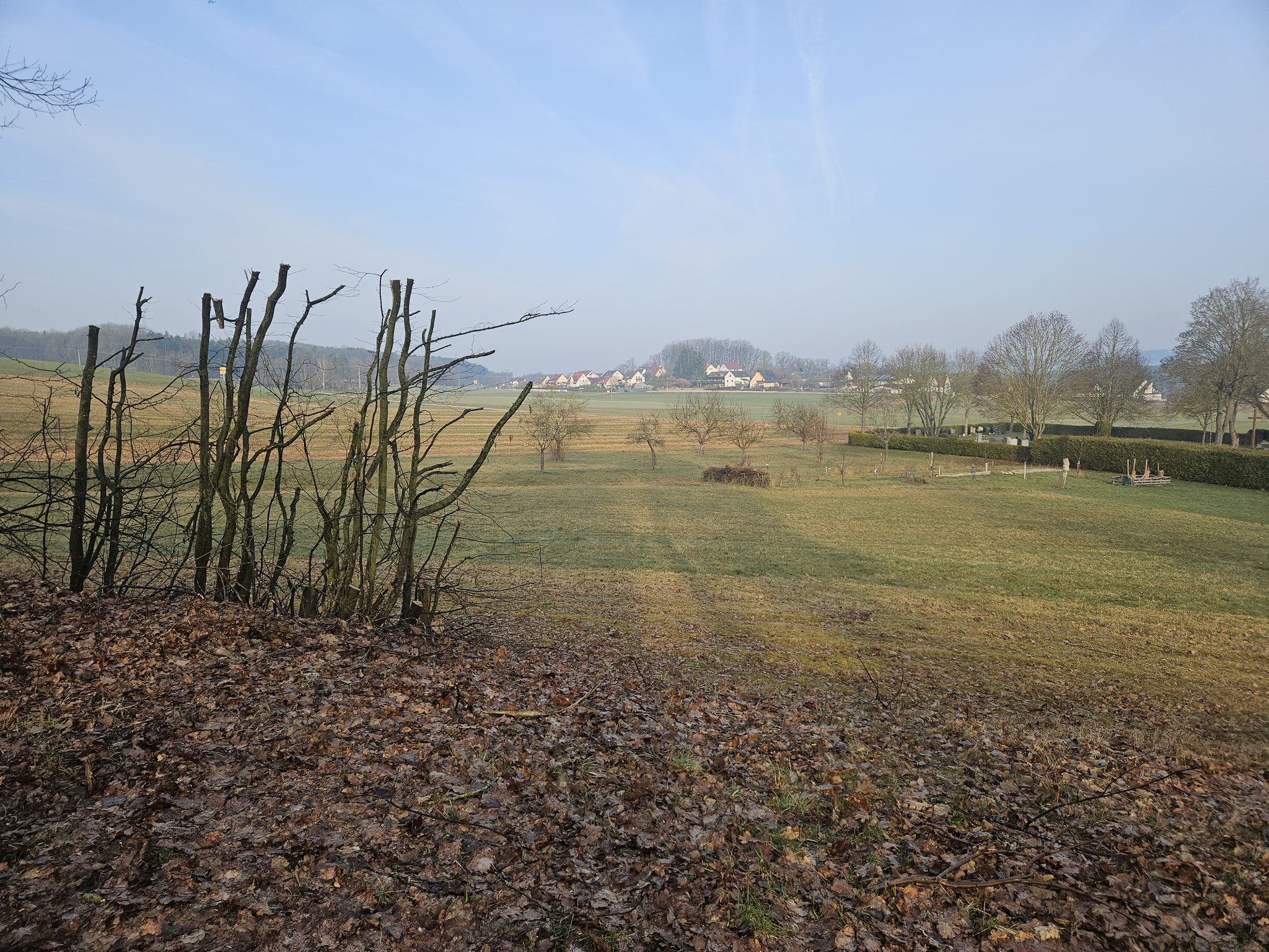 Beim Ameisenbuck, Blick gegen Rehenbühl.