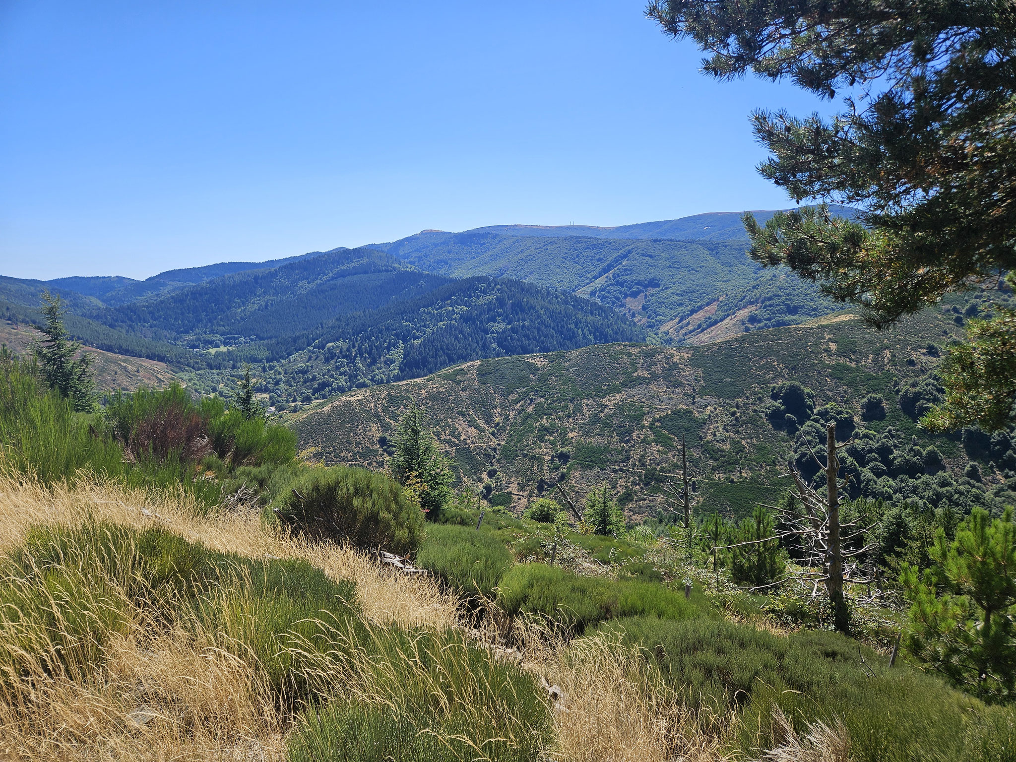 Nördlich Col Salidès, Rückblick zum Mont Aigoual.