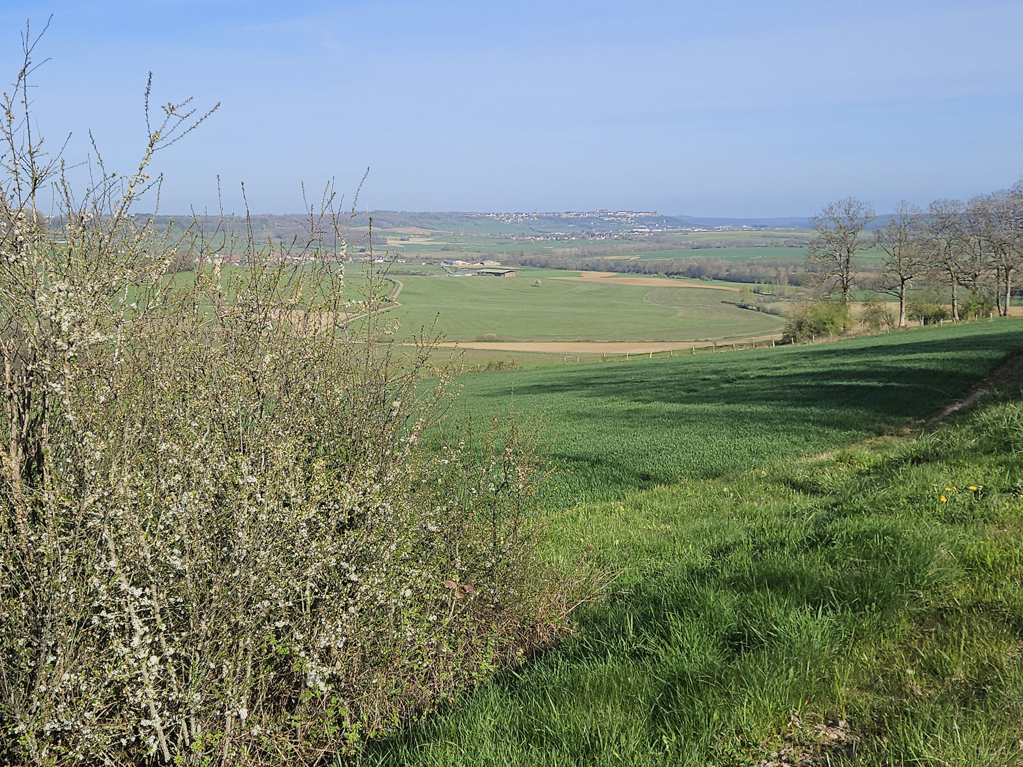 Cognelot, Blick auf Langres.