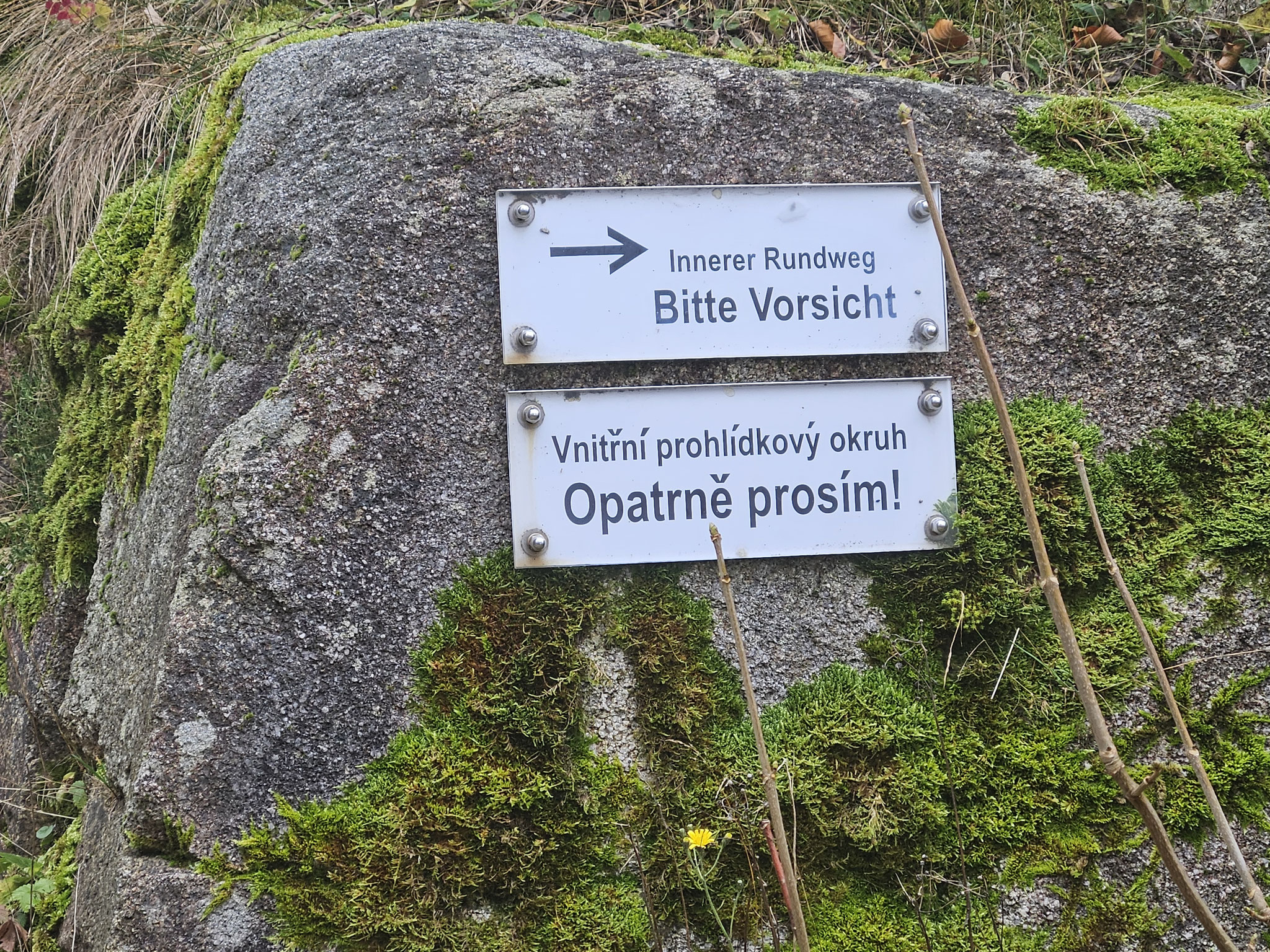 Ruine Weissenstein. Tschechien ist nah.