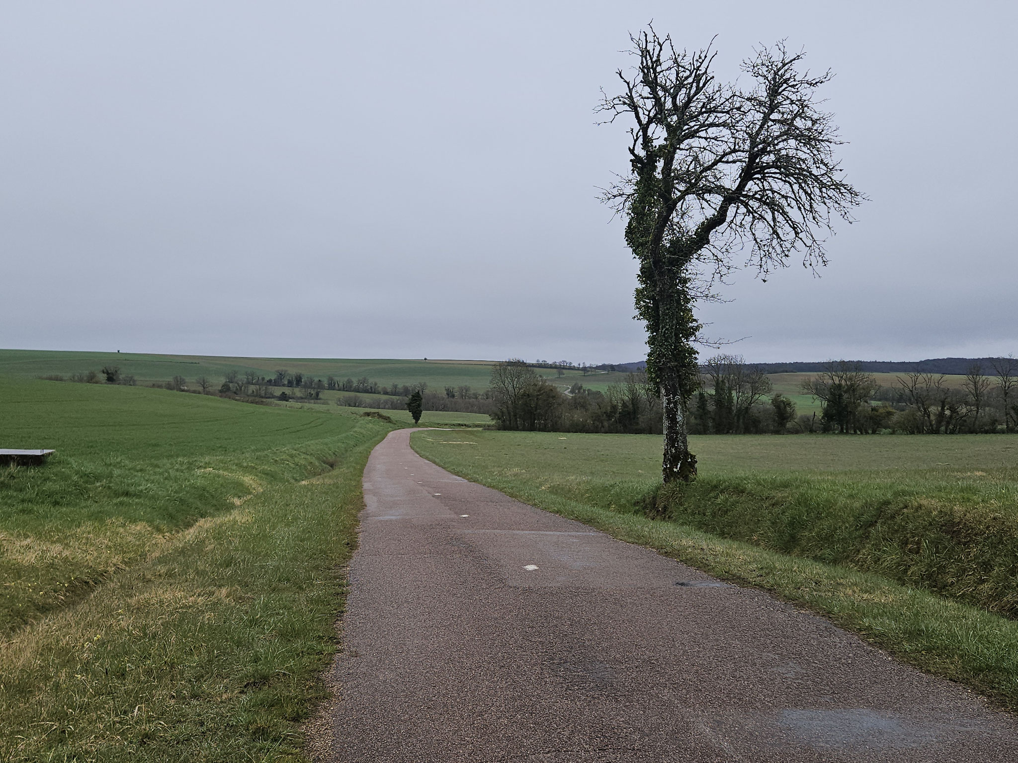 Auf der D19d Richtung Vesvrotte.