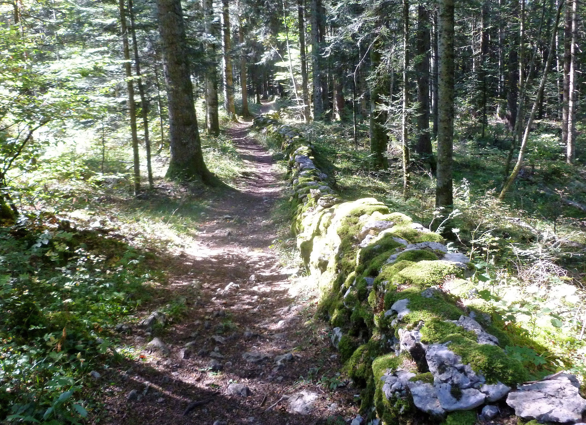 Meix Musy, Sentier des Bornes.