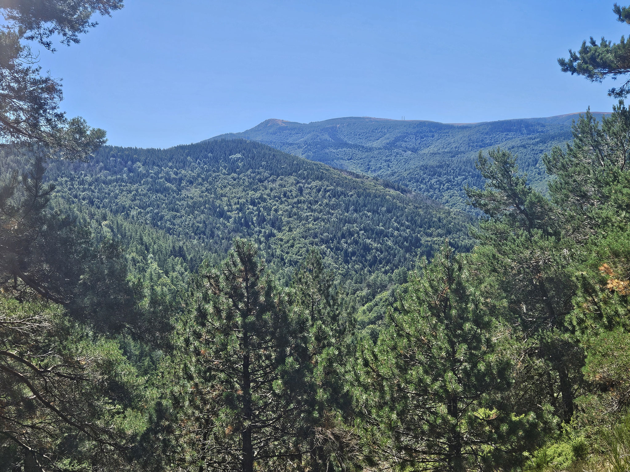 Bei Serre de Tarnon, Blick zurück zum Mont Aigoual.
