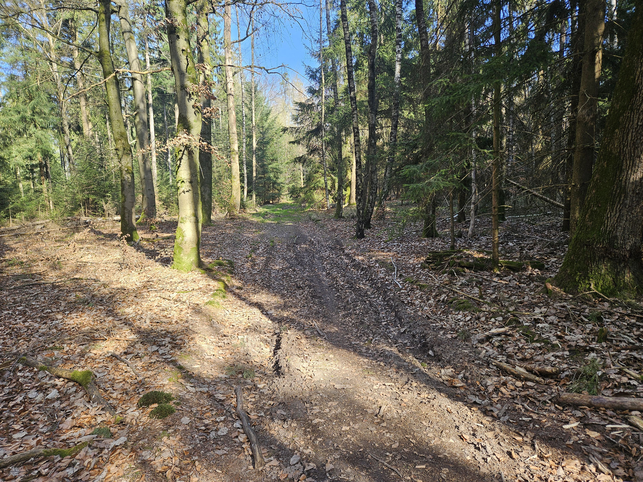 Auf der EHWS am Hornberg.