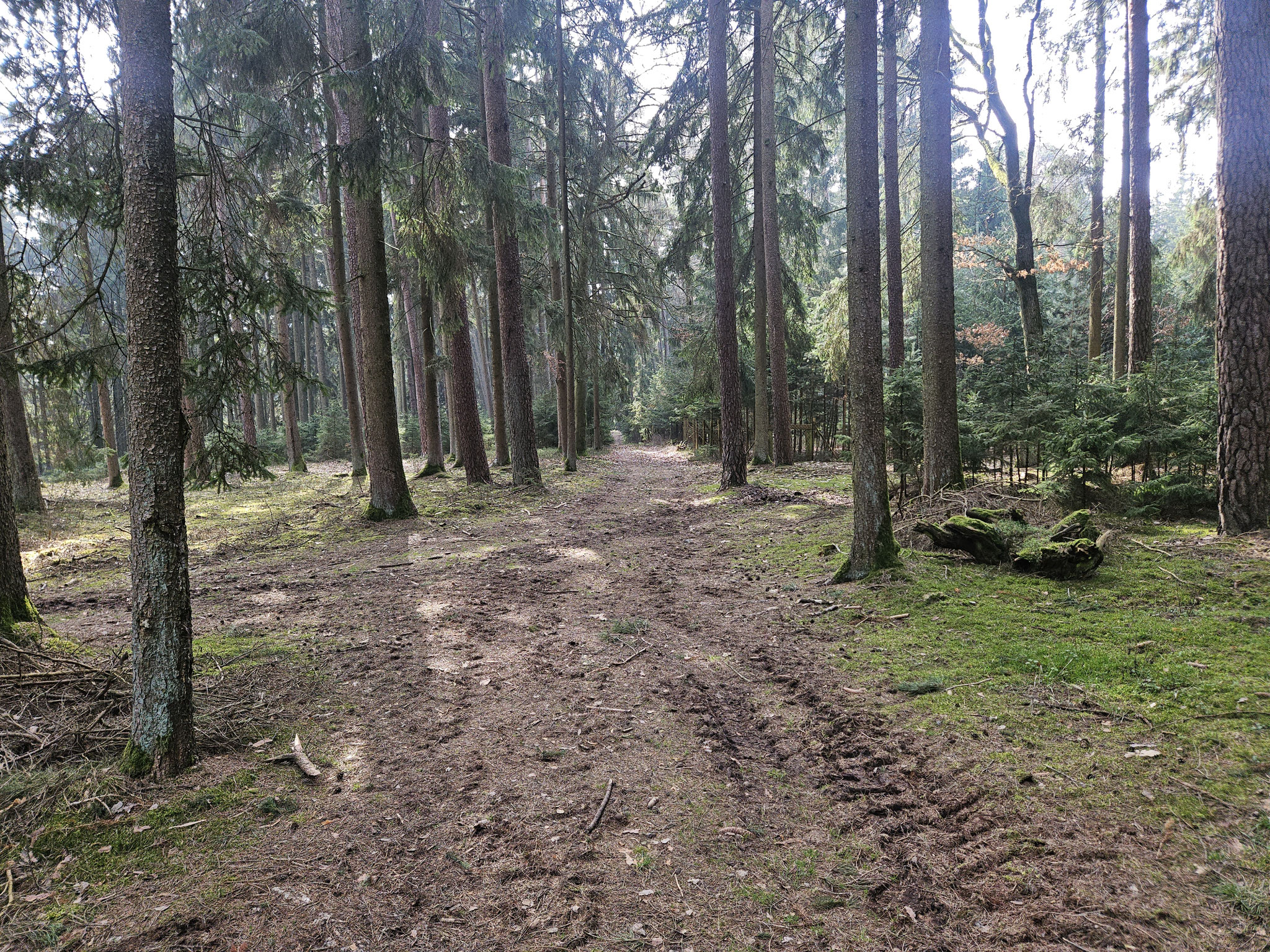 Flüglinger Berg, EHWS.