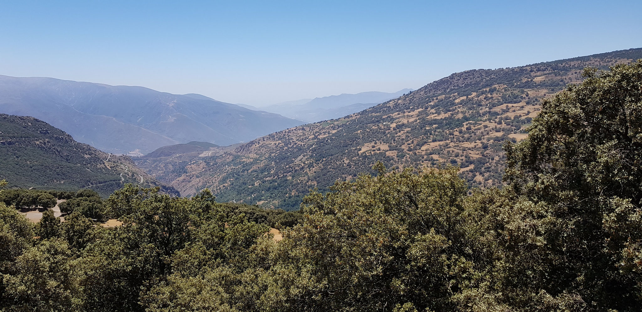 Am Hang des Loma de las Tomadas. Blick Richtung Küste.