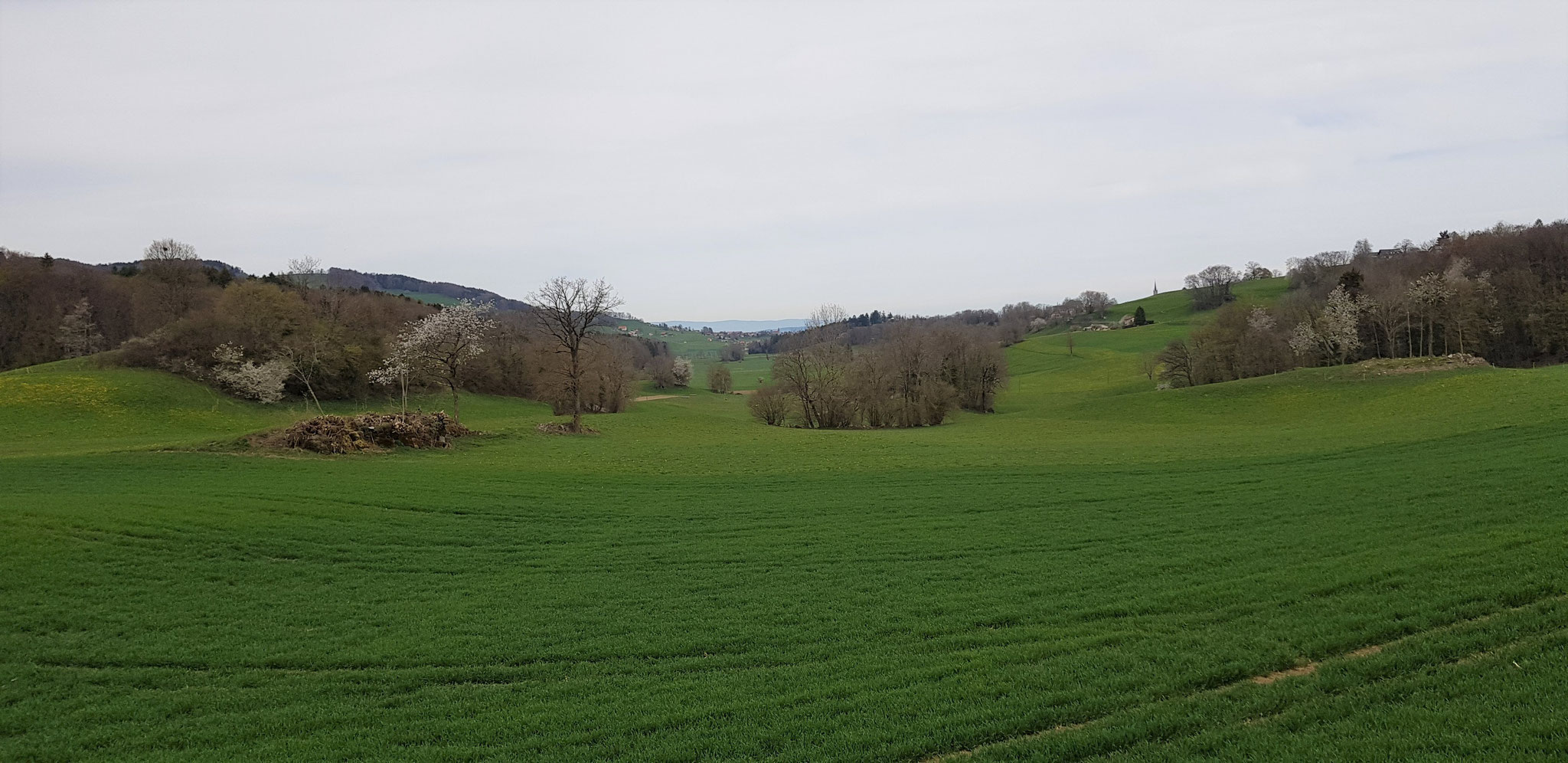 Plateau zwischen Pèlerin und Vuarat, Blick Richtung Norden.