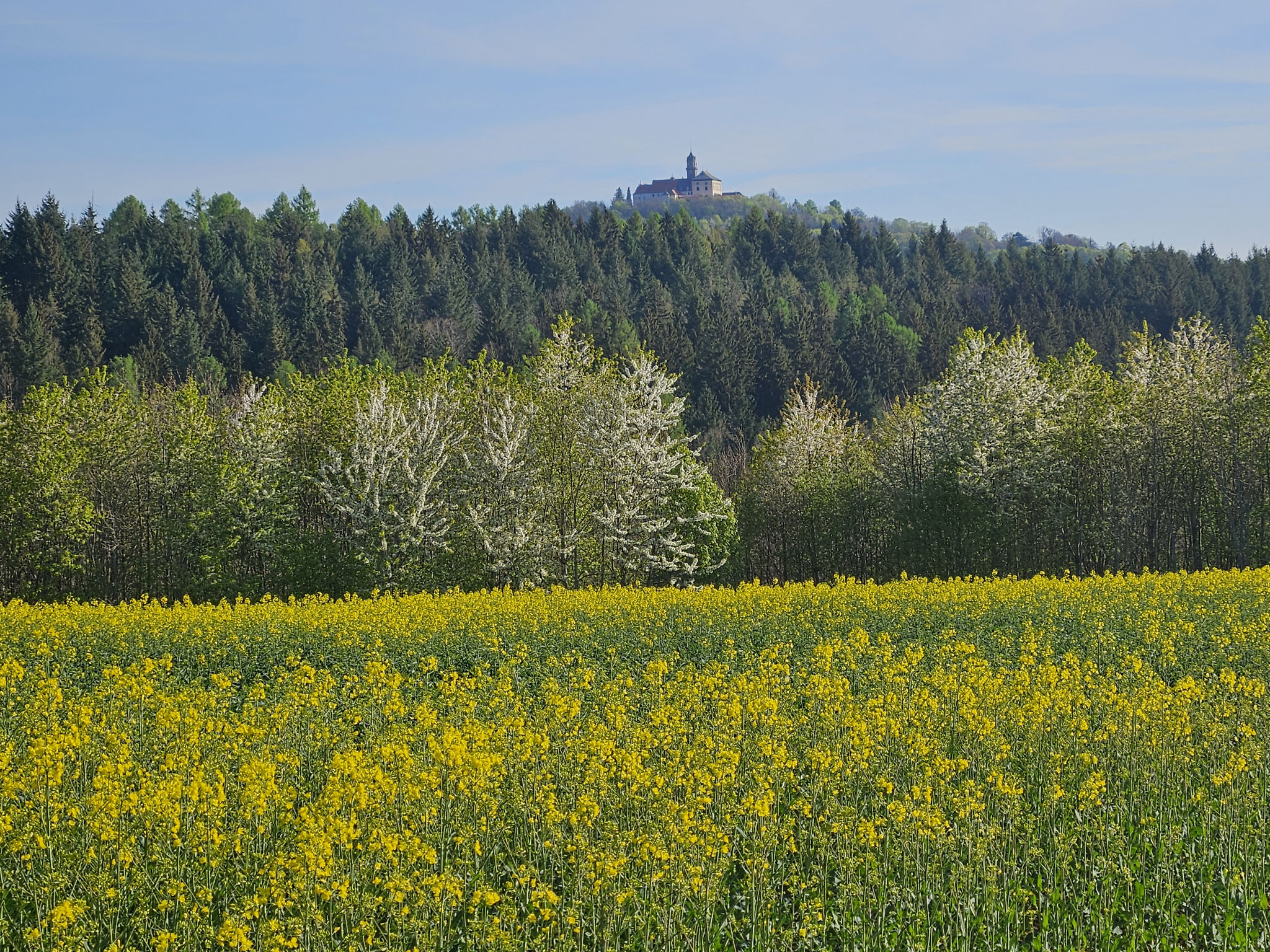 Erster Blick auf Schloss Baldern.