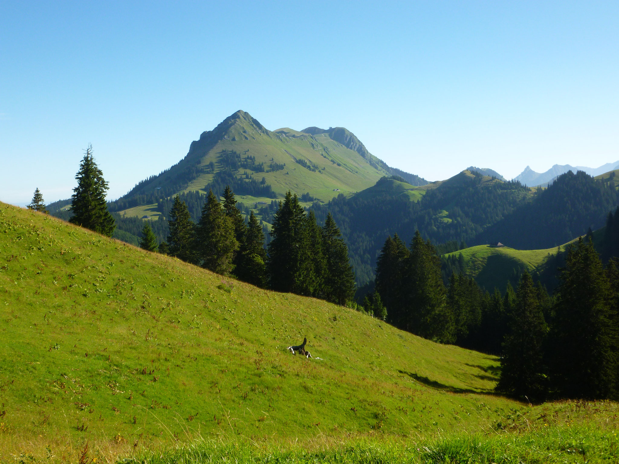 Aufstieg bei Morgensonne, Blick nach Norden: Teysachaux und Moléson.