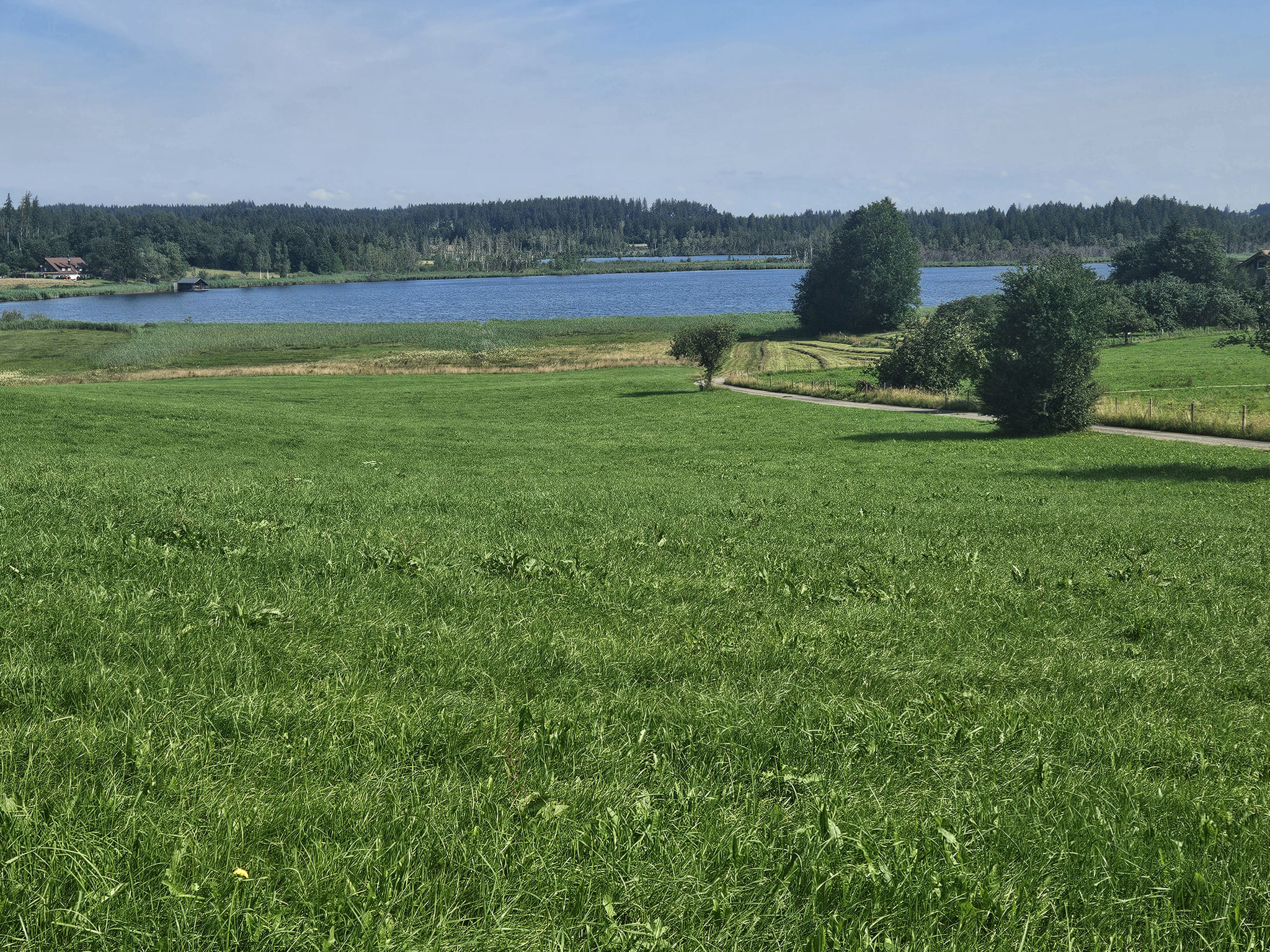 Unterspiesswengen. Grosser und Kleiner Ursee.