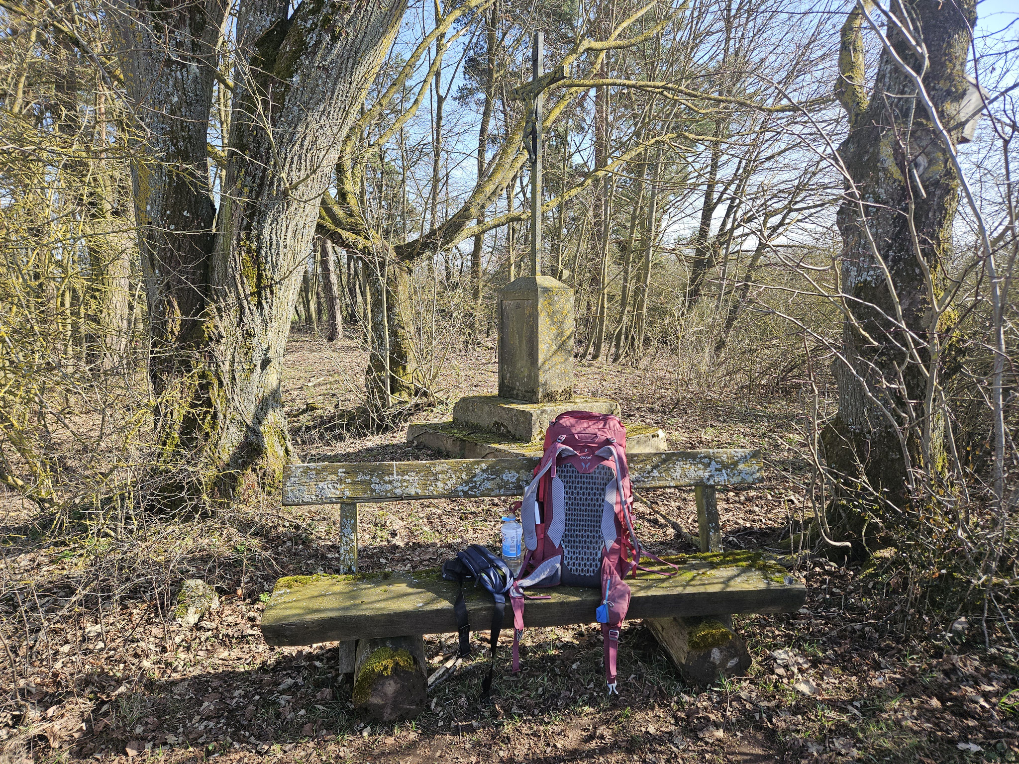 im Kreuthfeld.