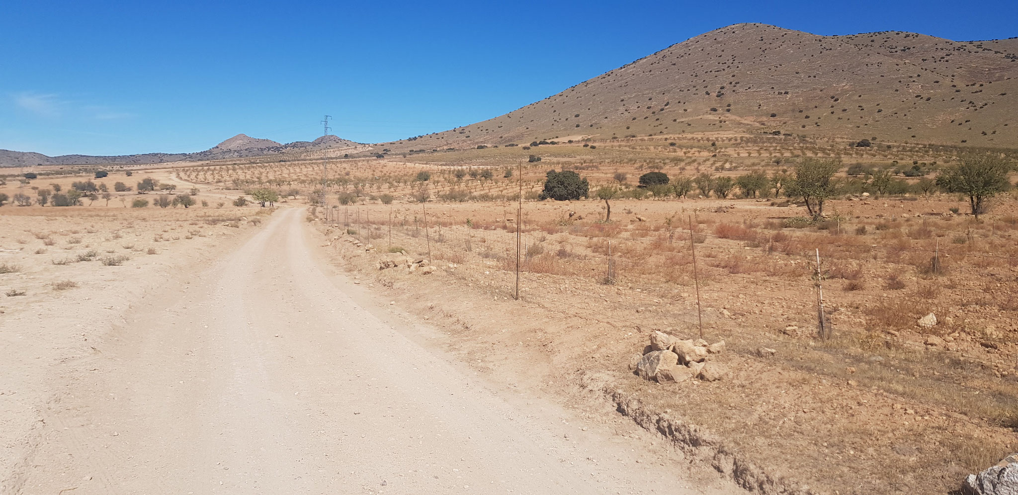 Cañada del Camino Real de Lorca.