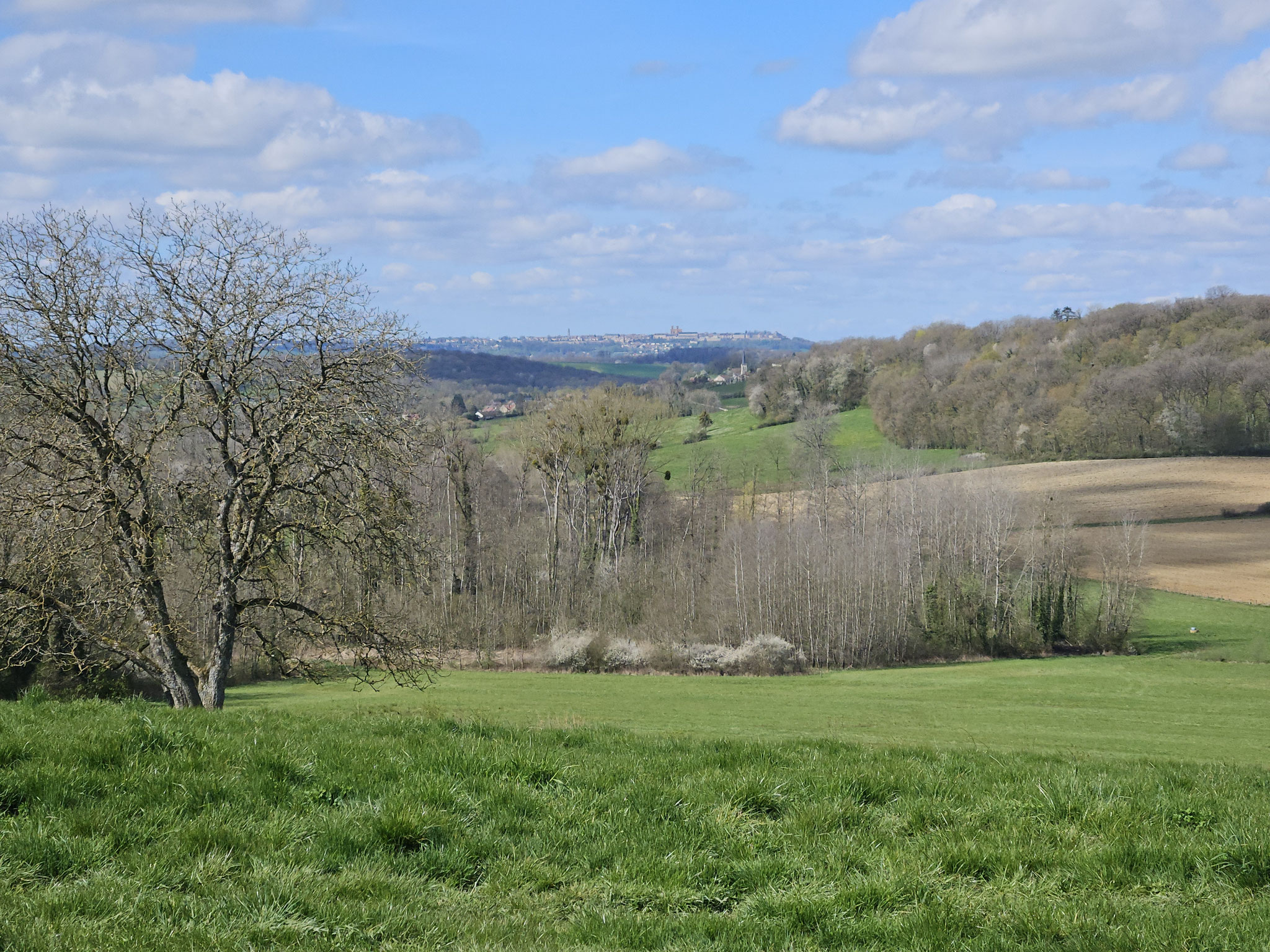 West-Blick auf Langres.