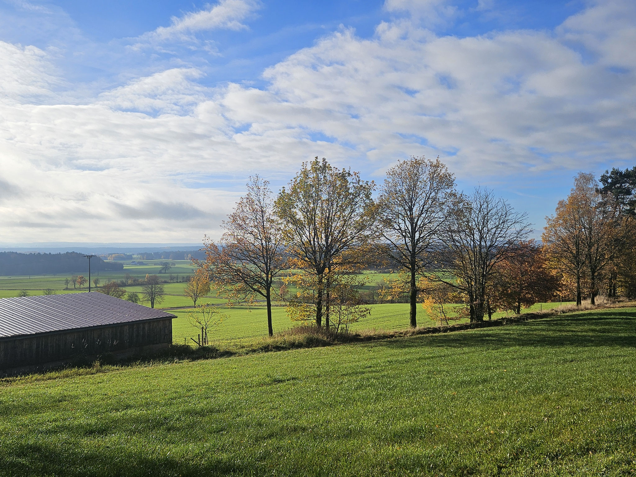 Bei Altenreuth. Blick Richtung Obermainisch-Oberpfälzisches Hügelland.