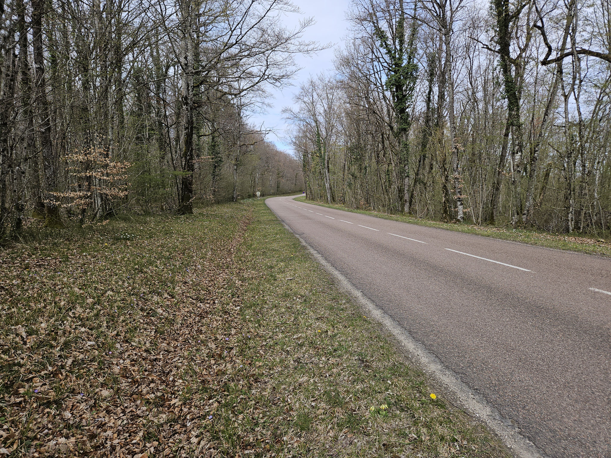 Strasse Richtung Salives.