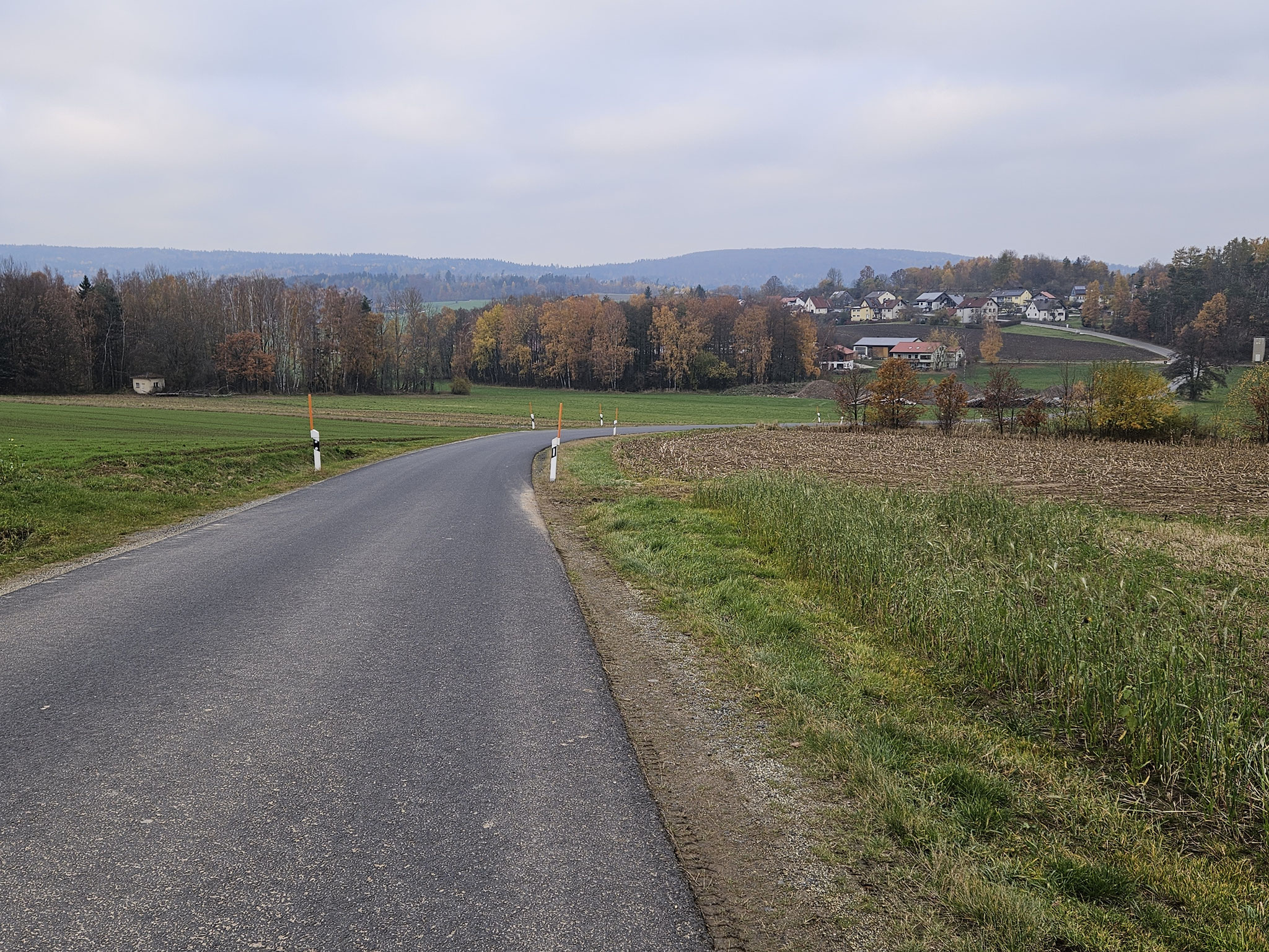 Wiesau-Tal vor Triebendorf, EHWS (Rückwärts-Blick).