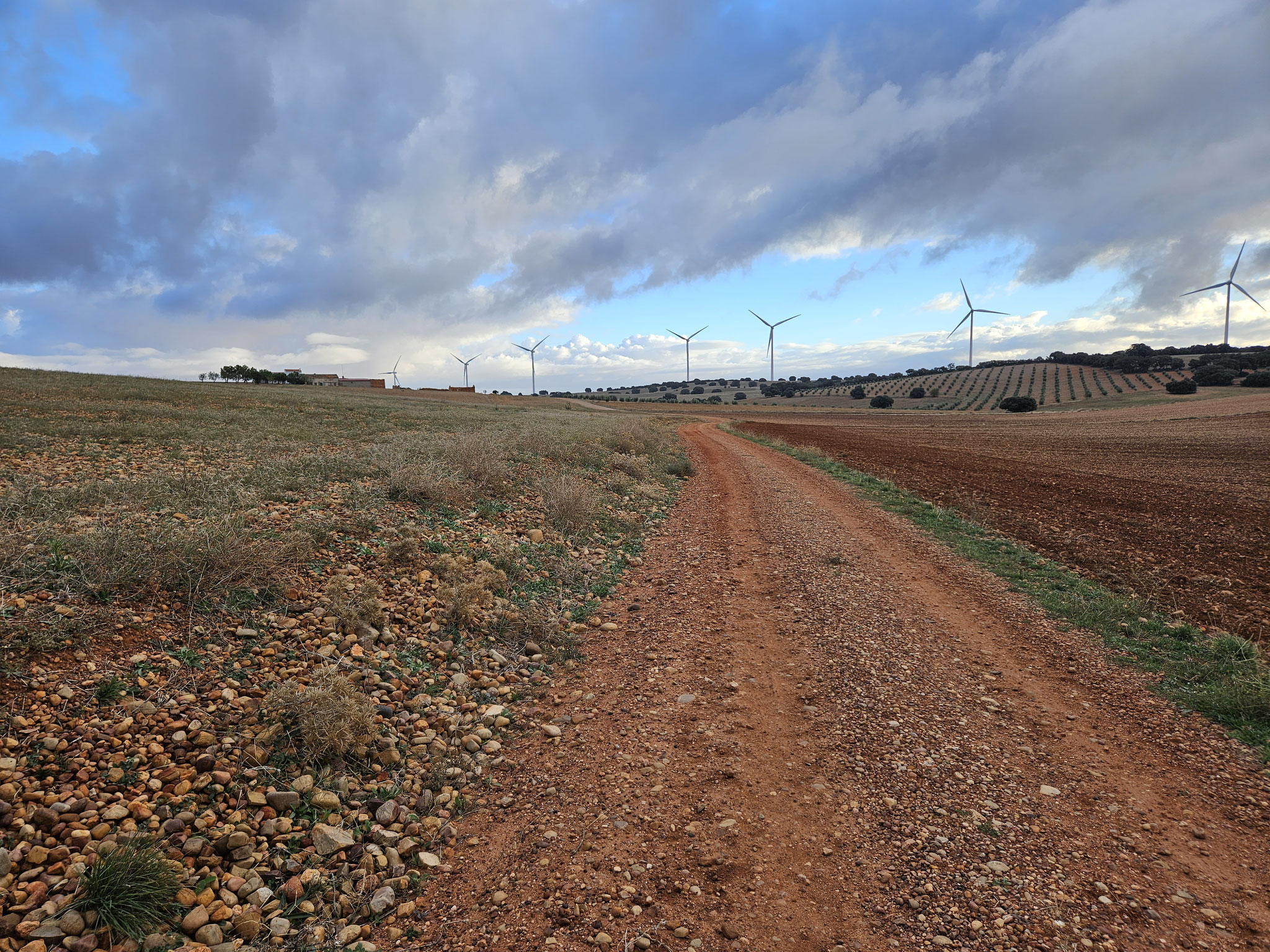 Dem Windpark Munera I entgegen.