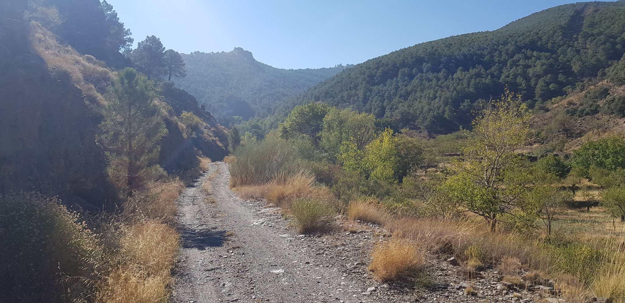 Nach dem Dornengestrüpp. Blick zurück.