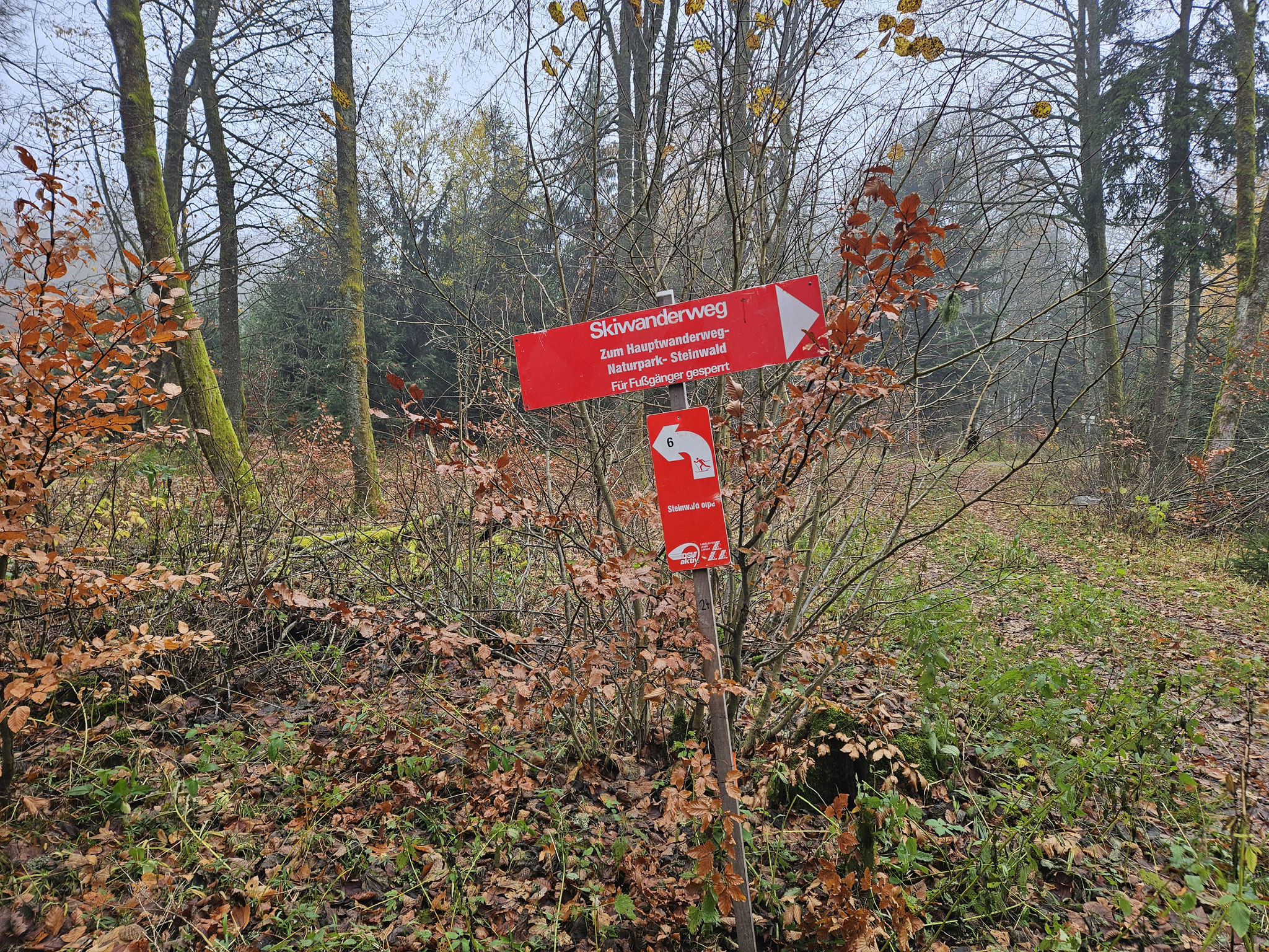 Am Plössberg. Auch mit Wanderschuhen begehbar.