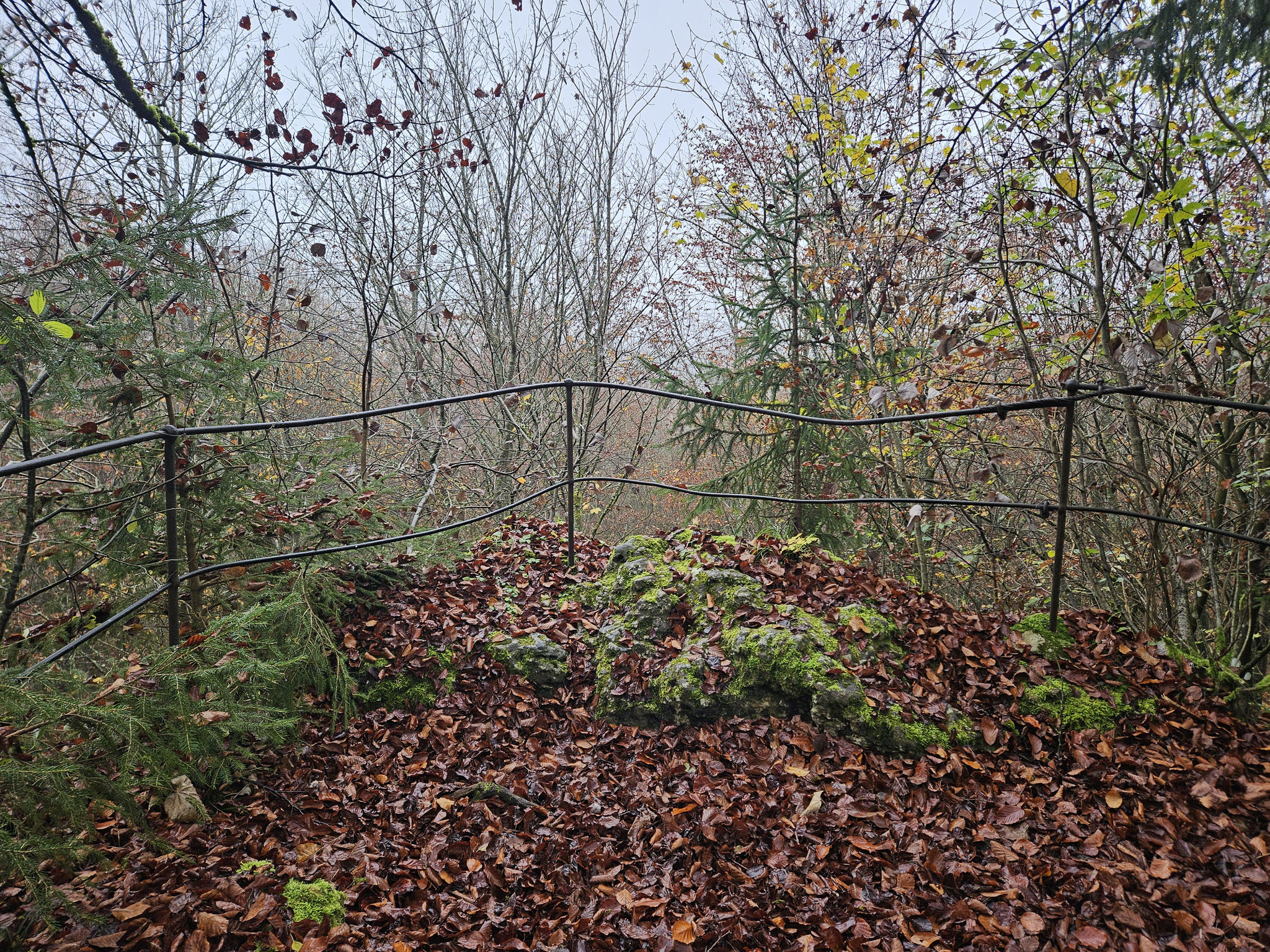 Felsenlabyrinth Sackdilling.