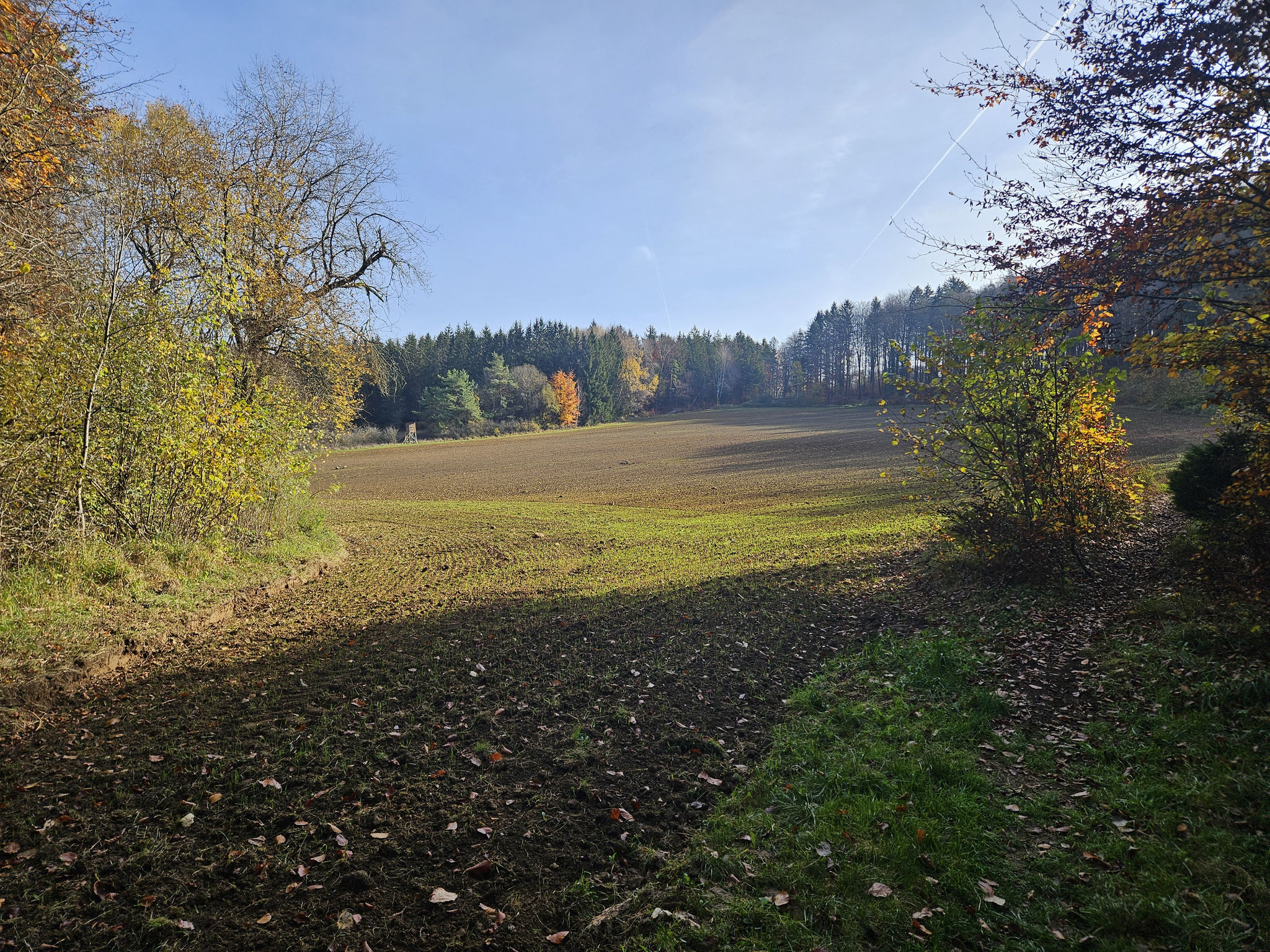 Dem Poppberg entgegen.