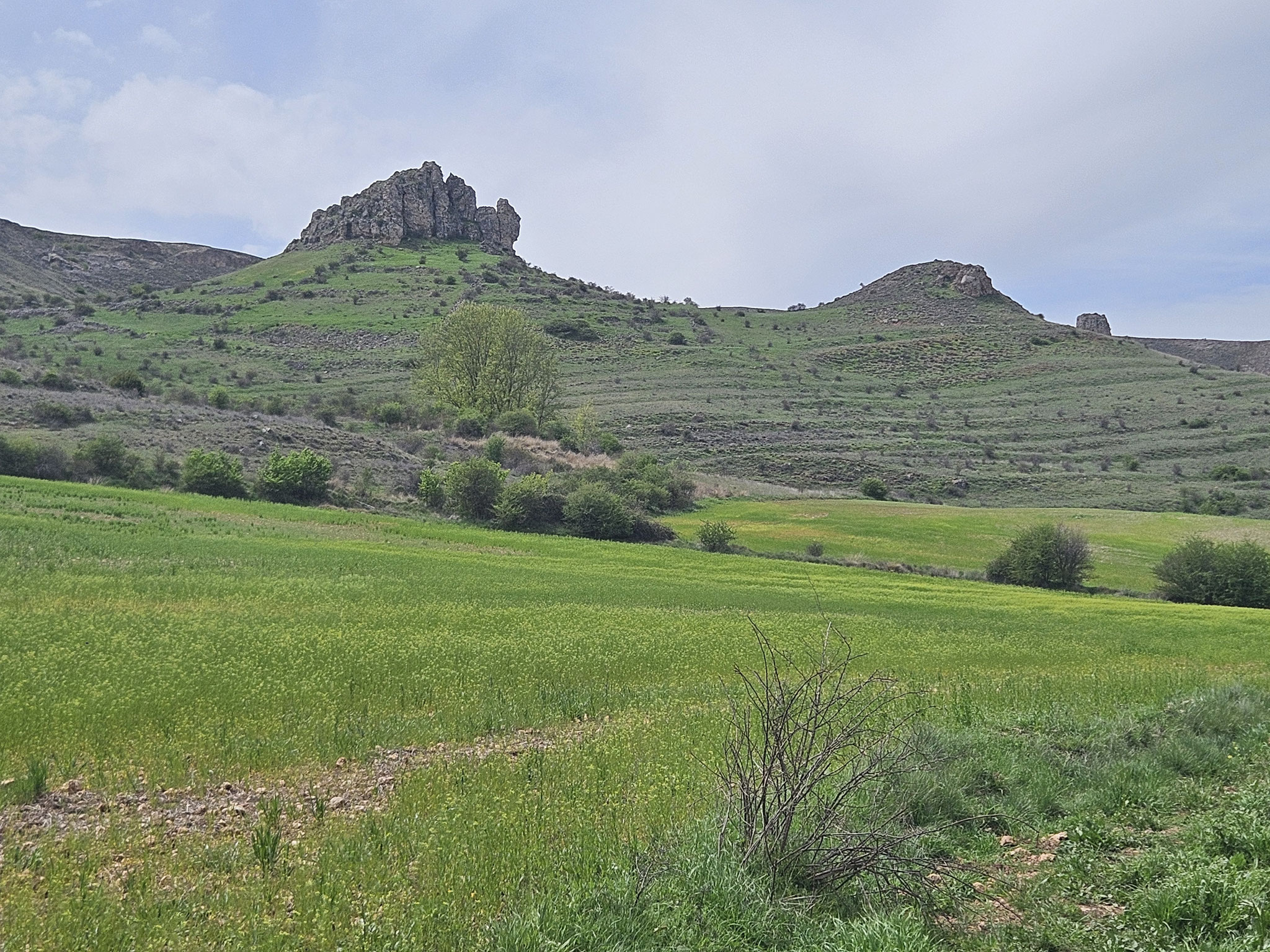Im Tal des Pradejón.