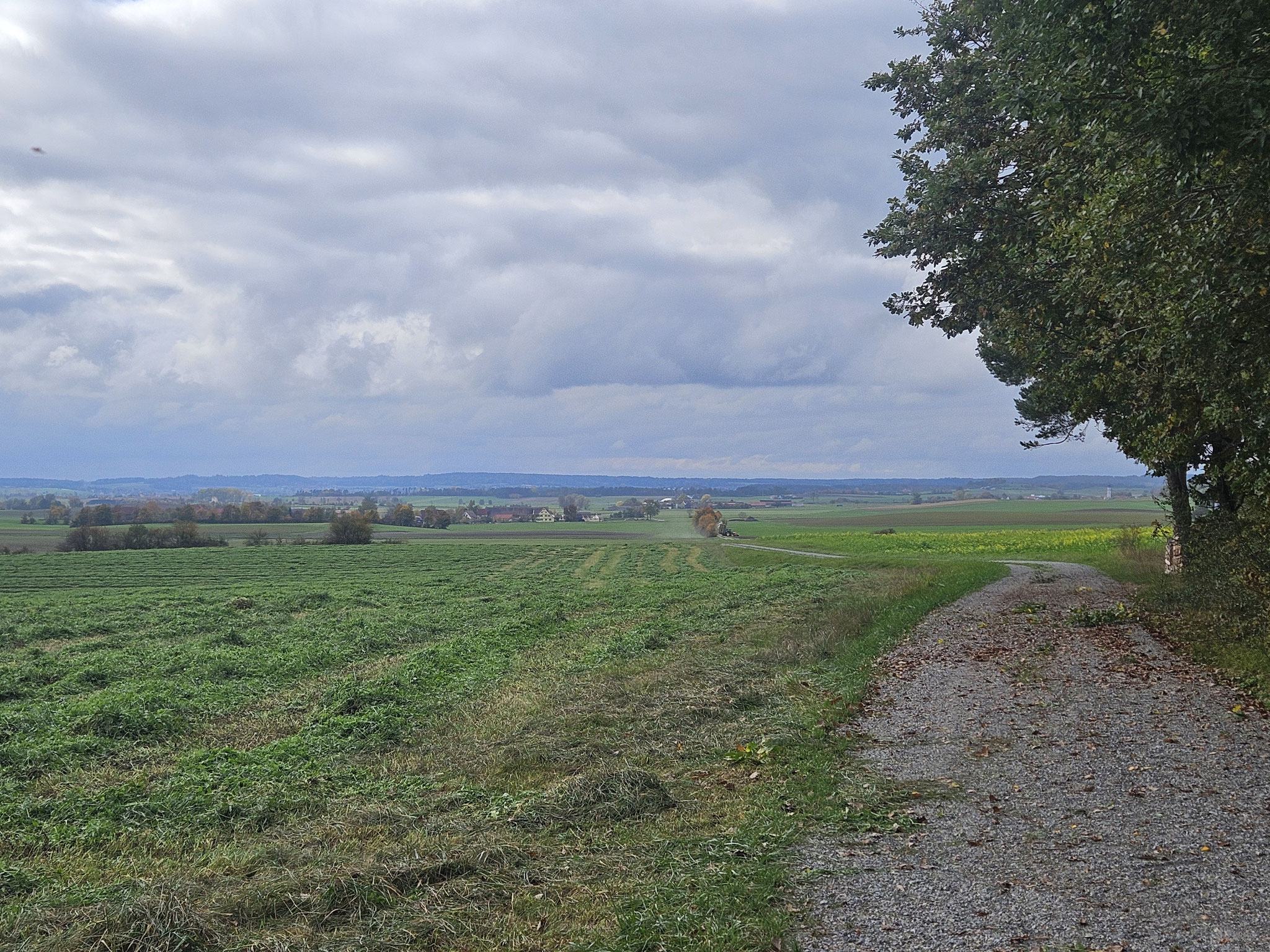 EHWS vor Obersulzbach, Flussgebiet der Altmühl (Donau).