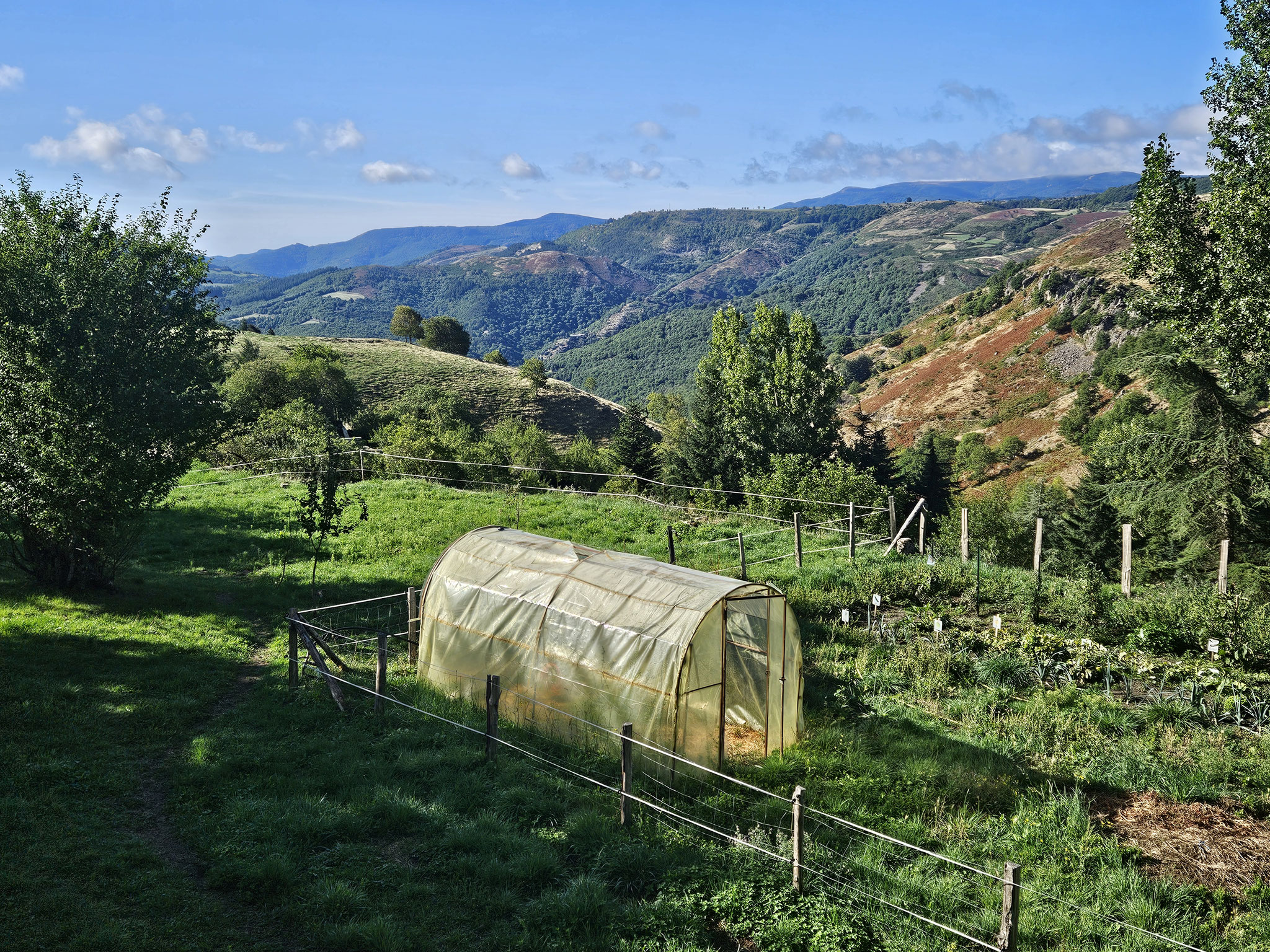 Barre-des-Cévennes, vals cénevols.