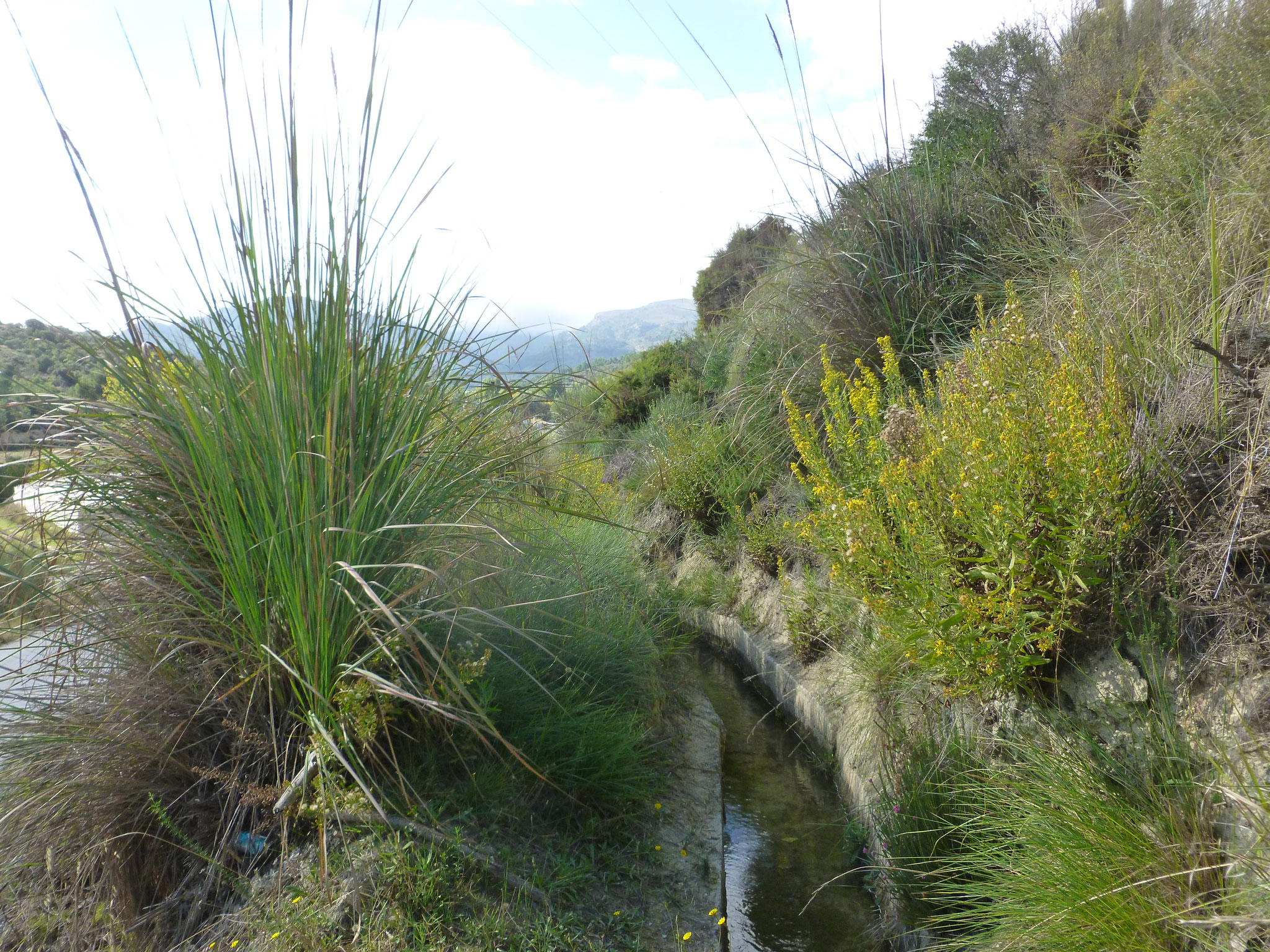 Bewässerungskanal im Tal des Río Cuevas.