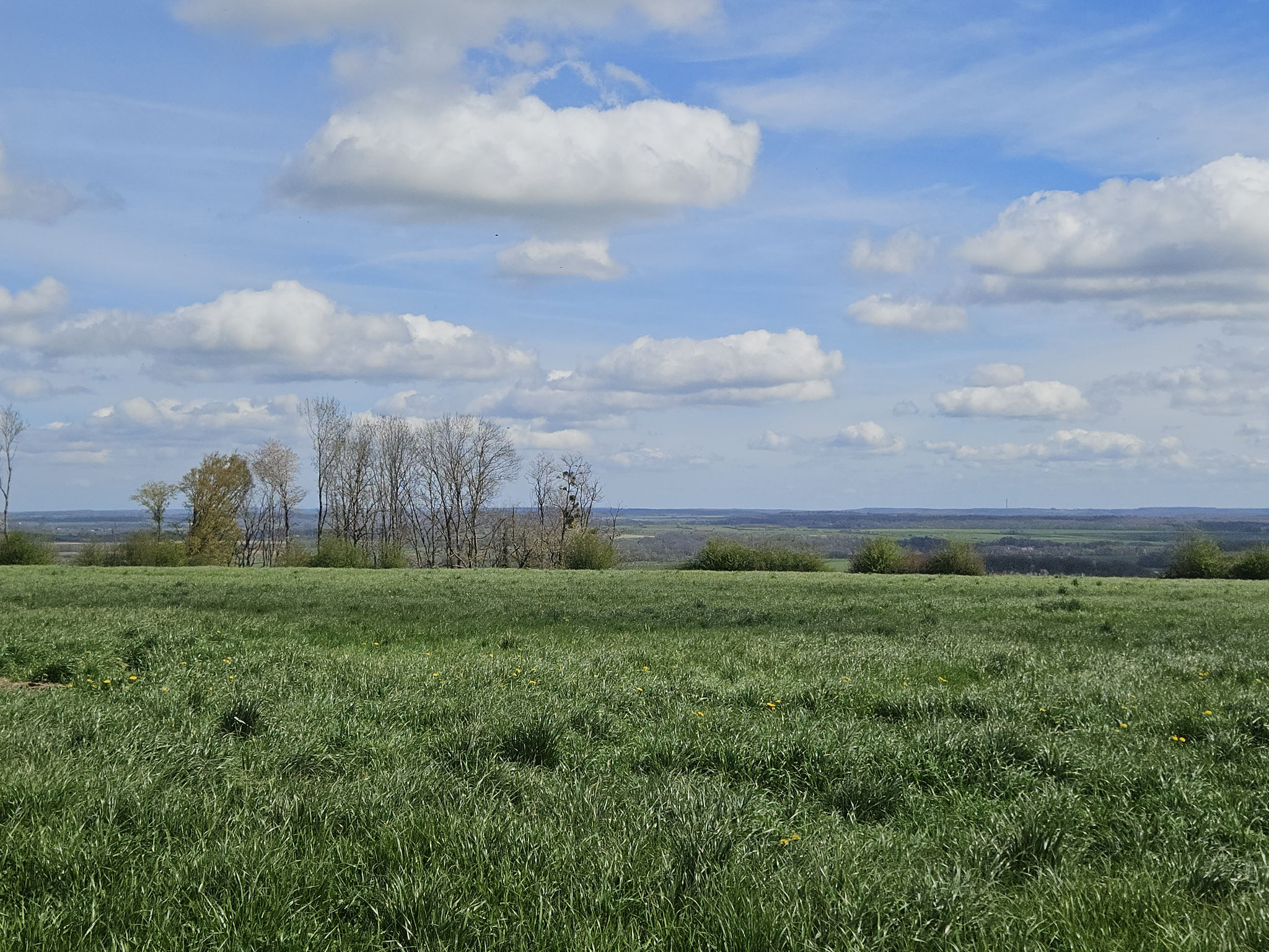 Bei Montlandon. Blick über die EHWS ins Amance-Becken.