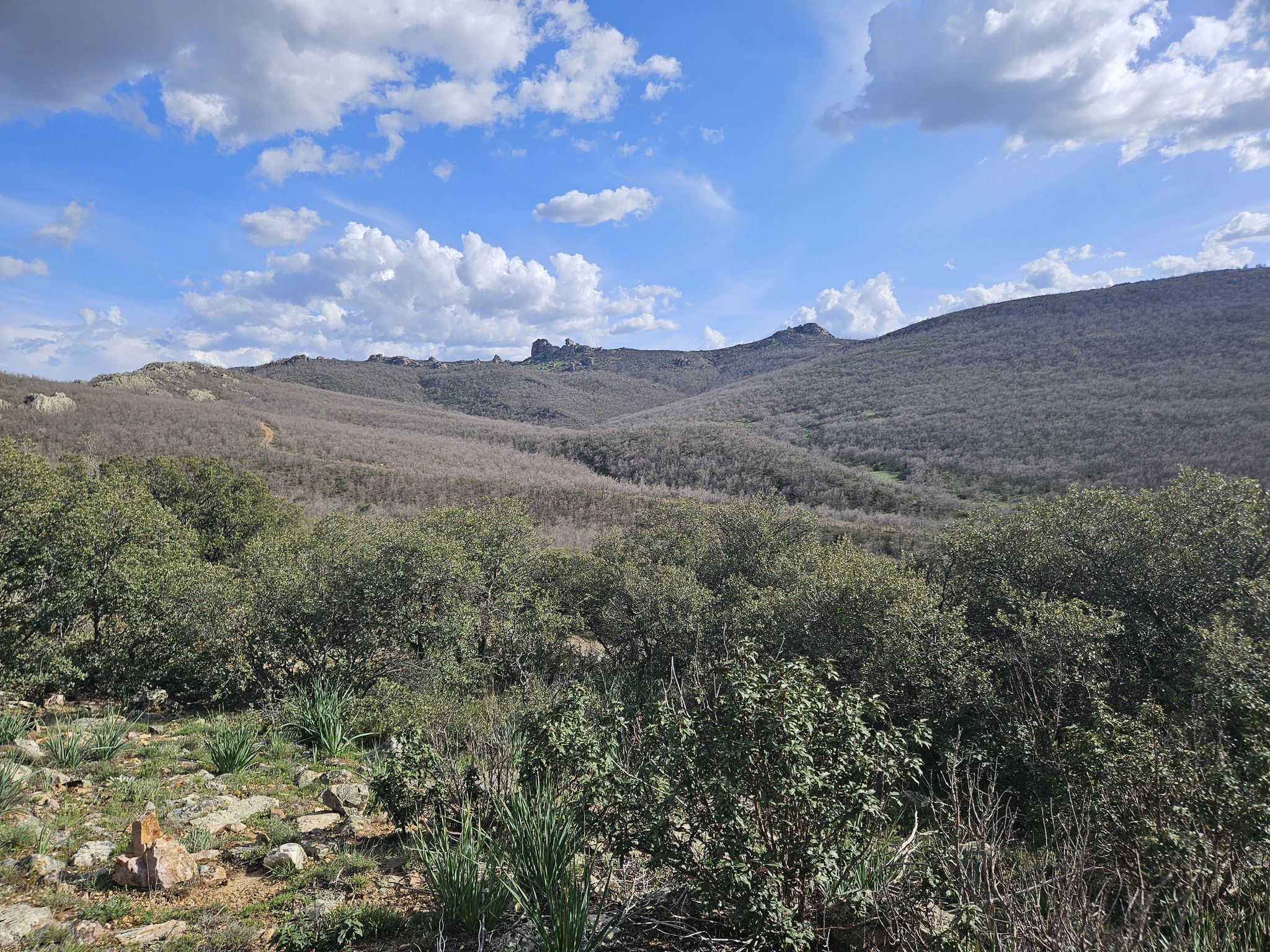 Beim Abstieg nach Villar del Salz, Rückwärts-Blick zum Morrón Blanco (EHWS).