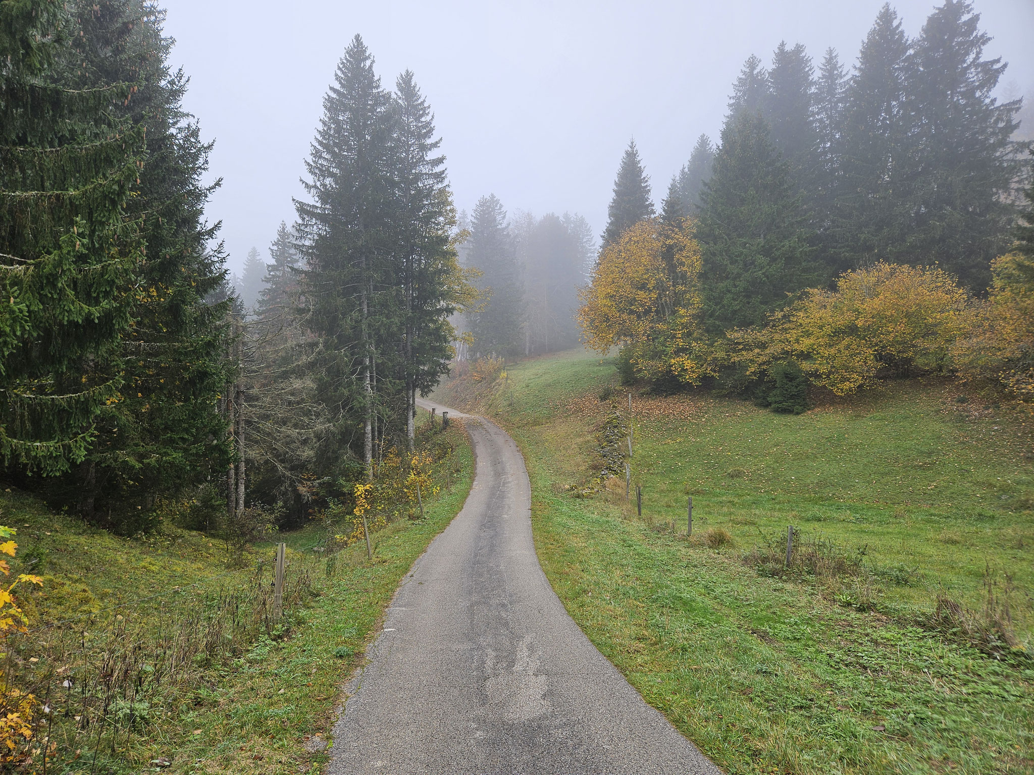 Ob Le Séchey, Richtung Haut-Crêt.
