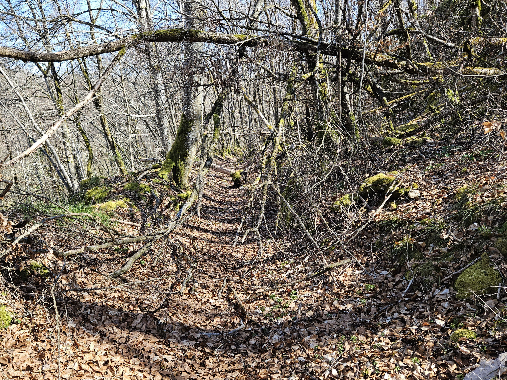 Abstieg zum Flüsschen Suzon.