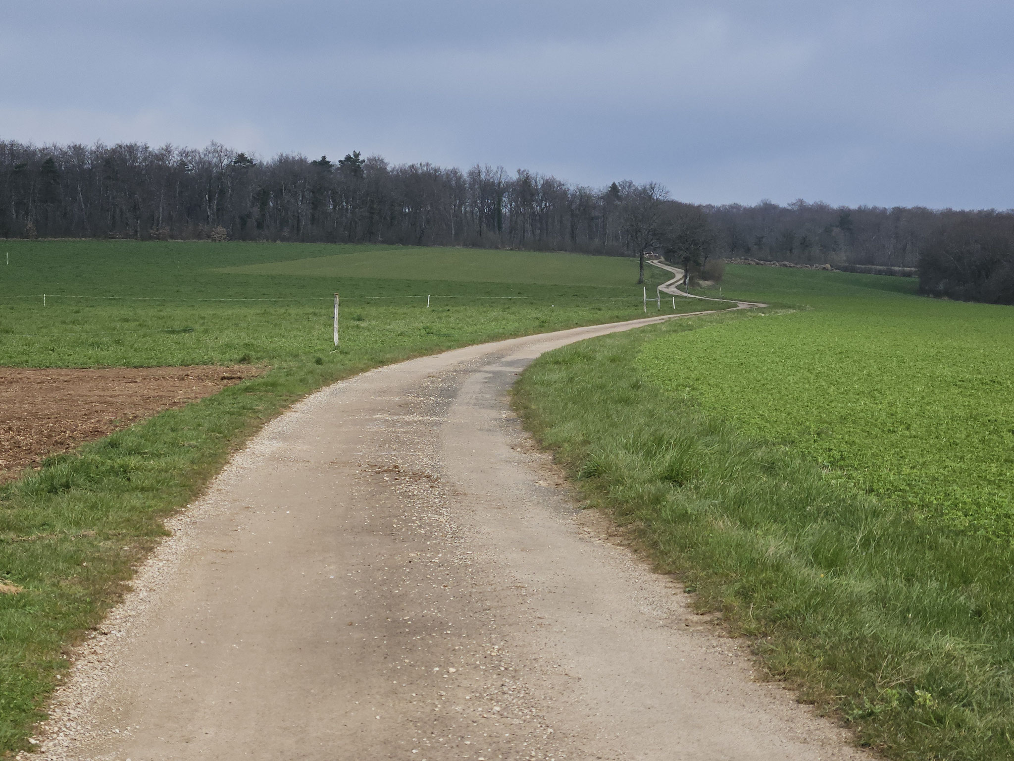 Plateau Le Fouilleron.