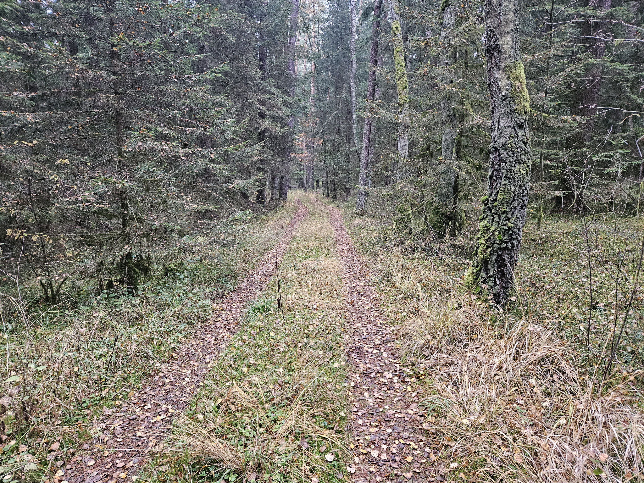 Gen Windischenlaibach.