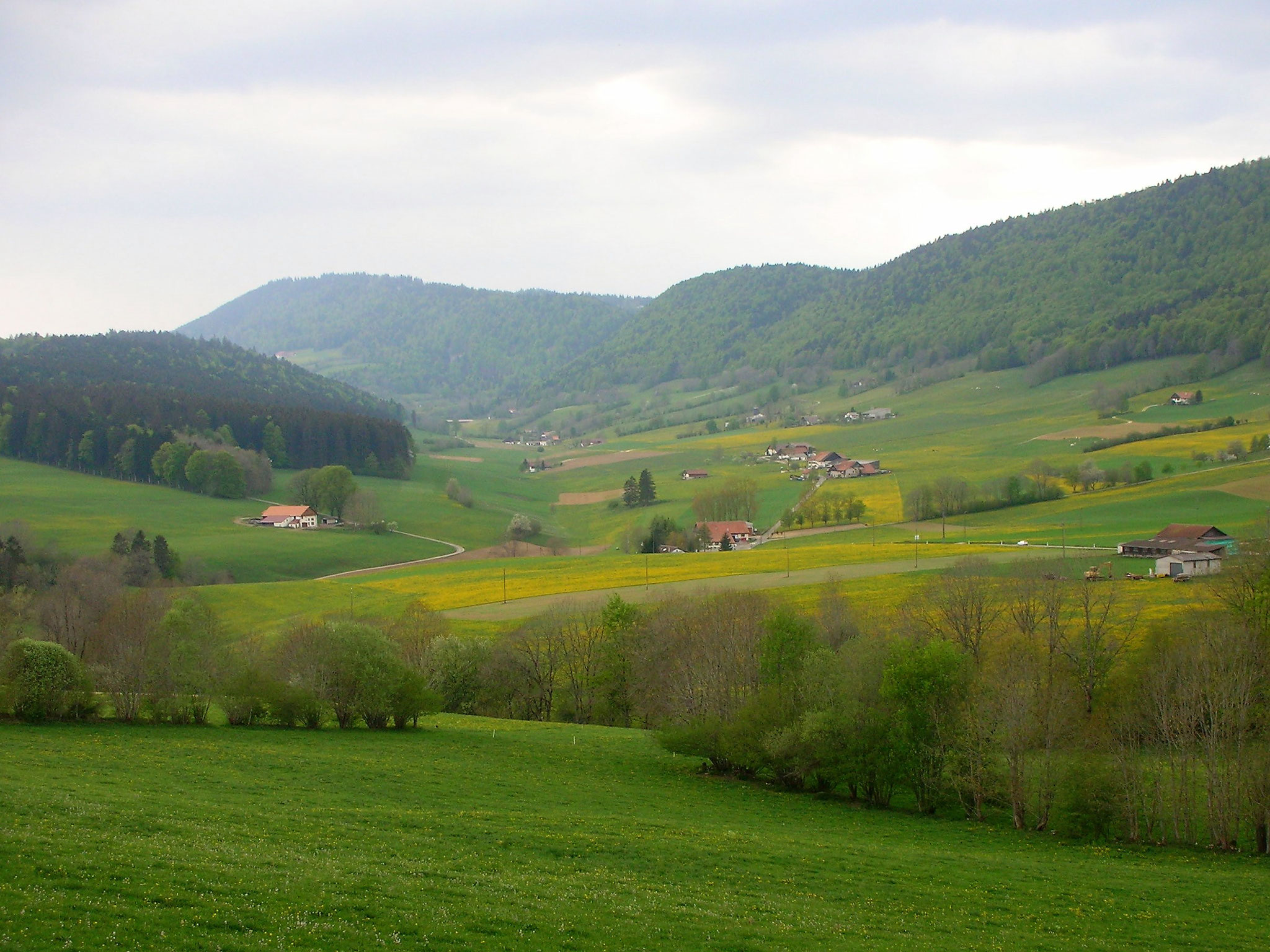 Ob Le Pâquier, Blick nach Westen.