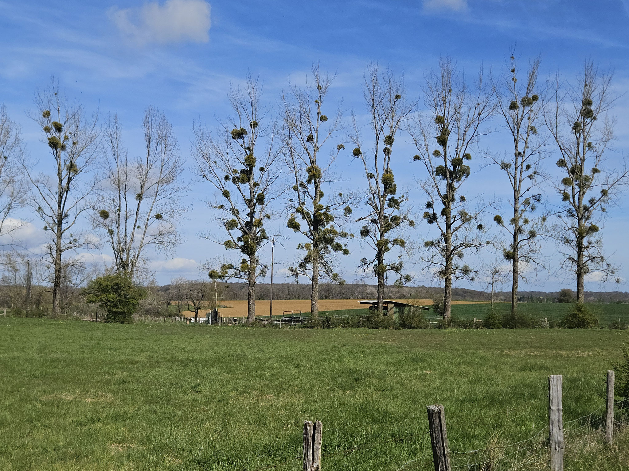 Bei Montlandon.
