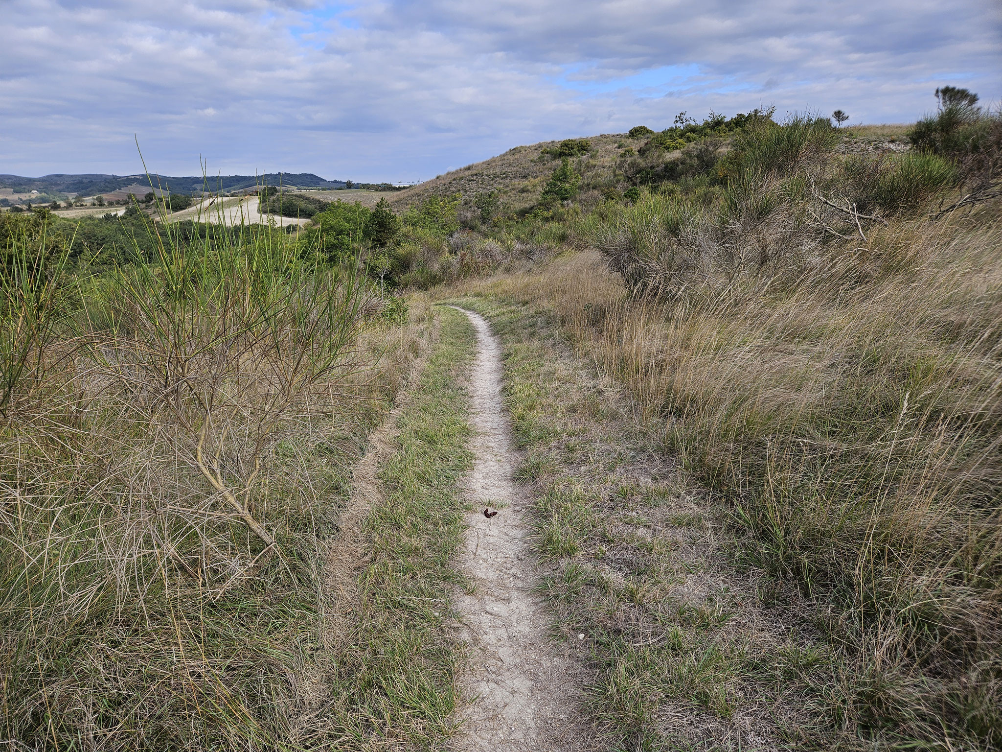 Vor Abstieg  in bewaldetes Tälchen.