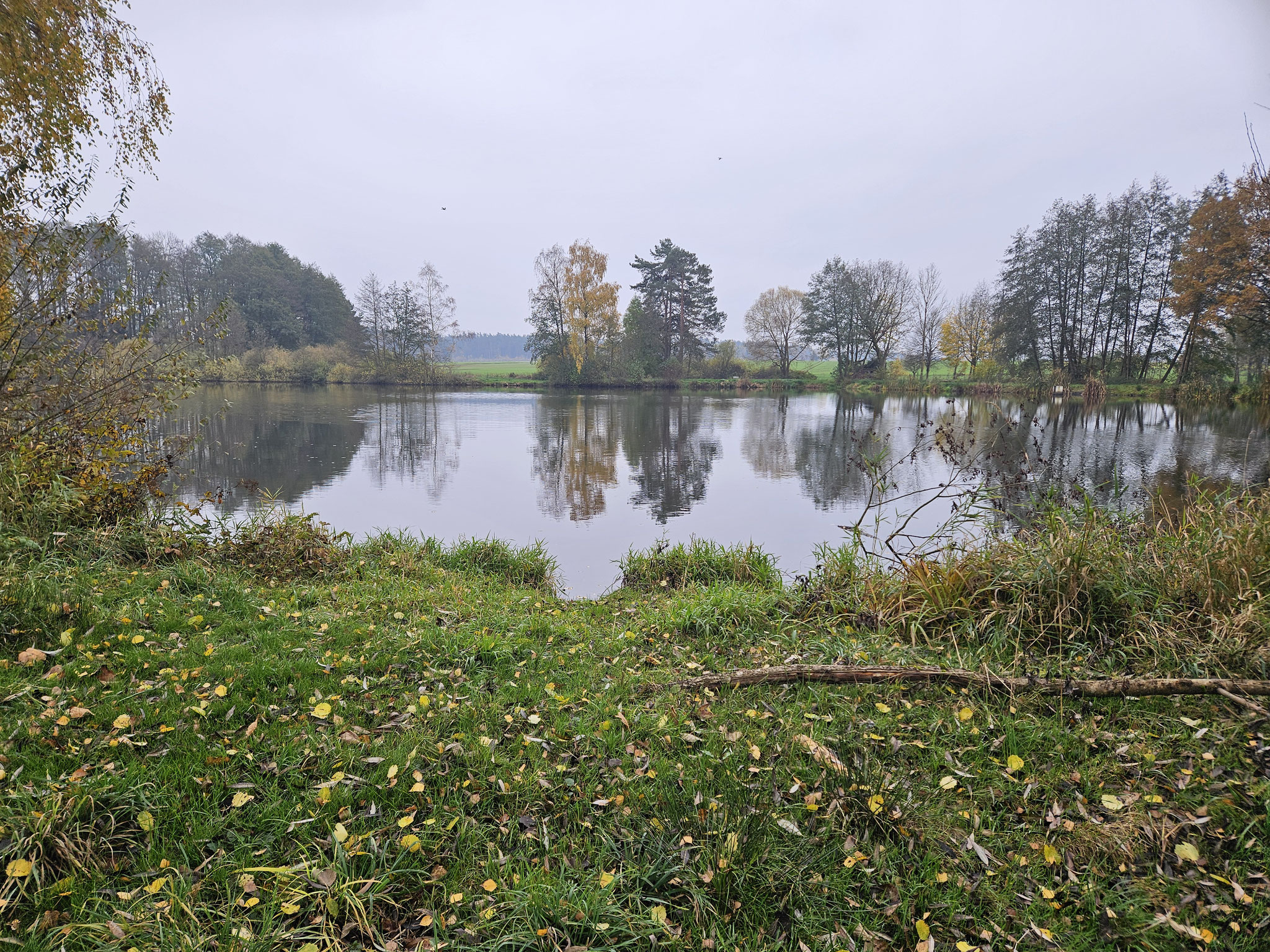 Alter Weiher von Voita.