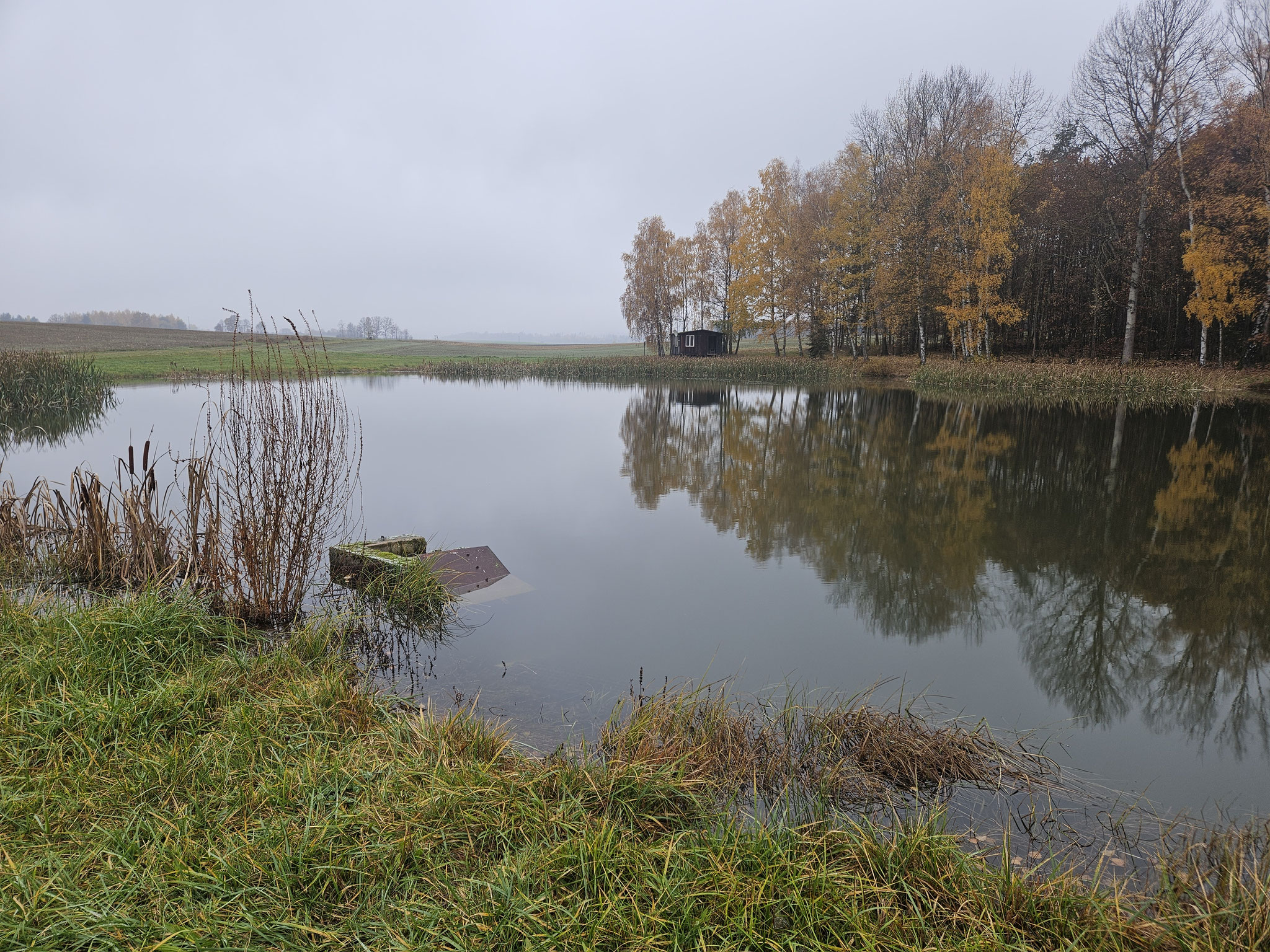 Bei Schönfeld.