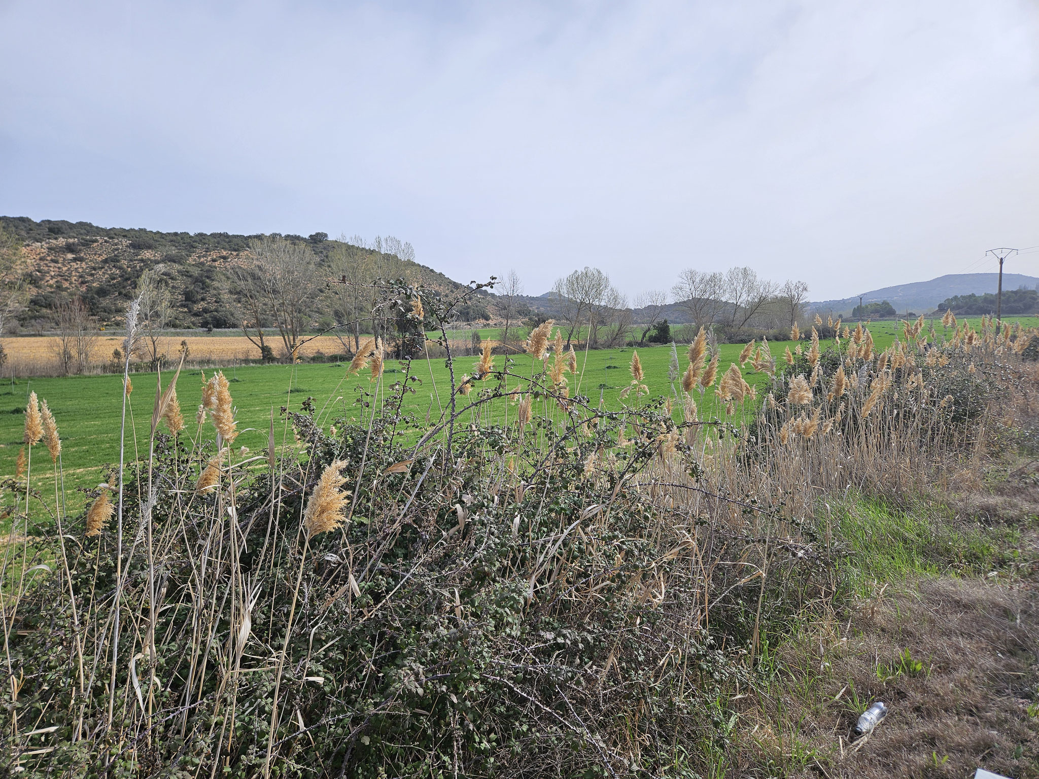 Tal des Río Mayor.