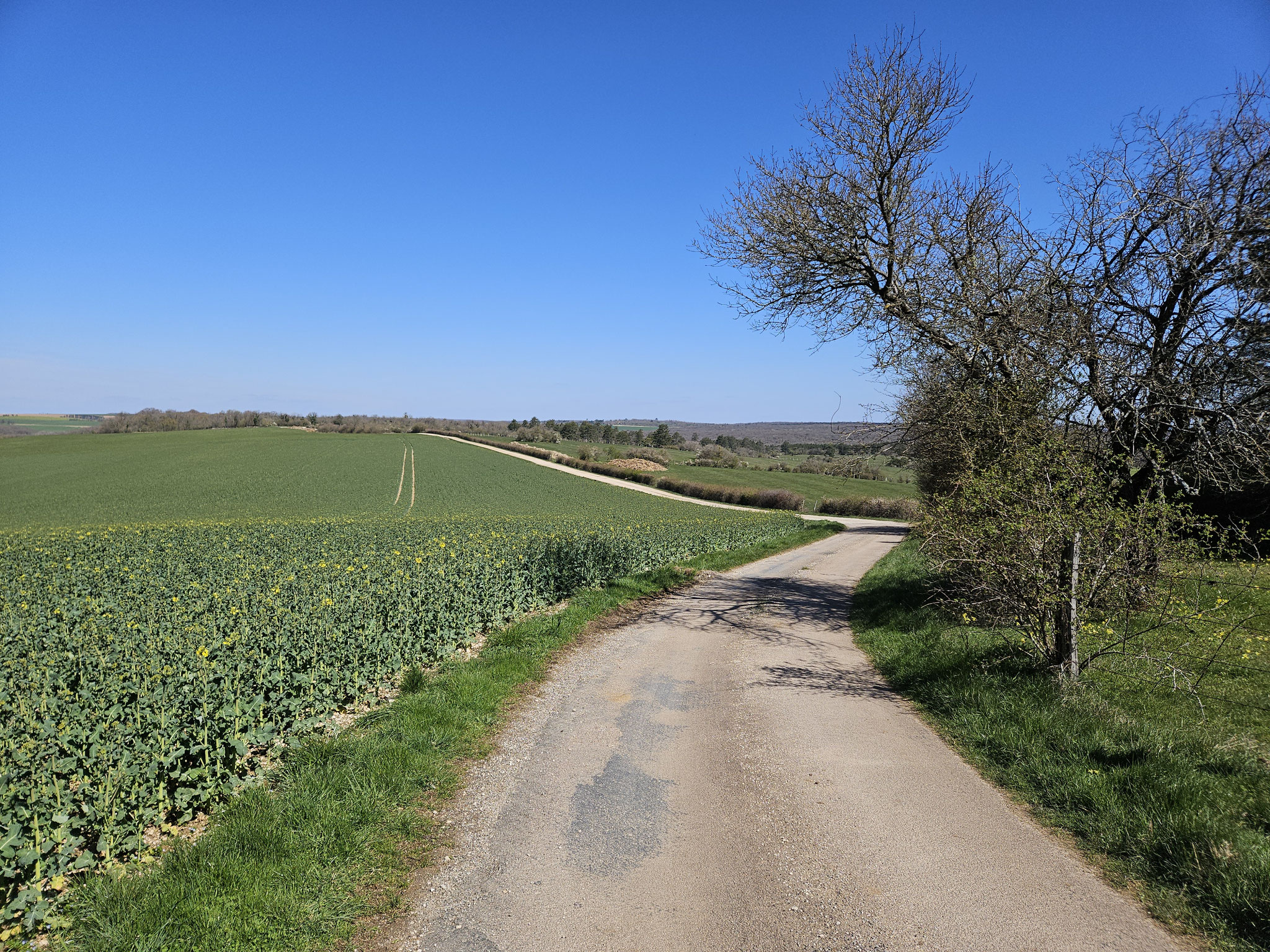 Bei Bordes-Pillot.
