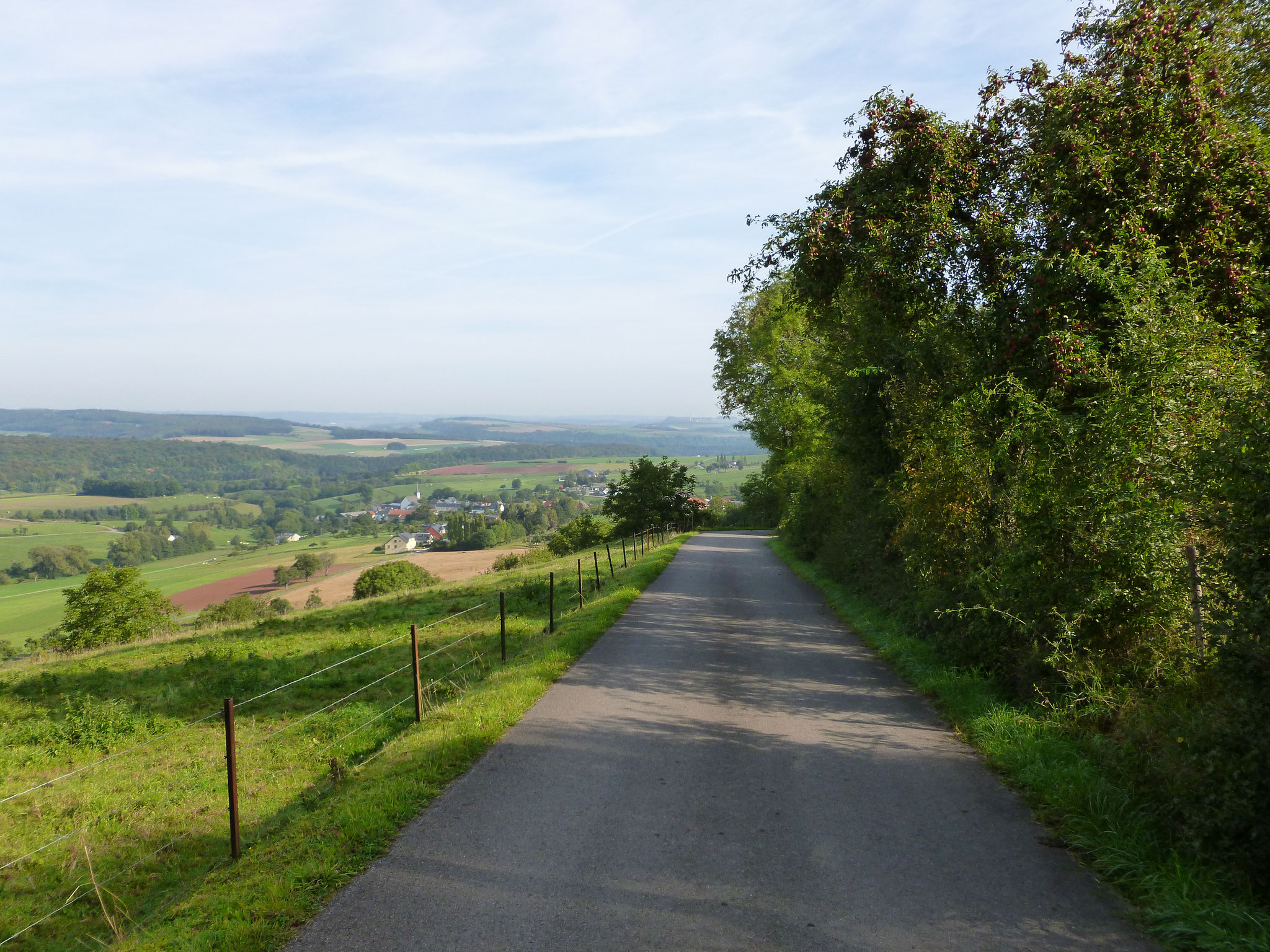 Vor Eppeldorf.