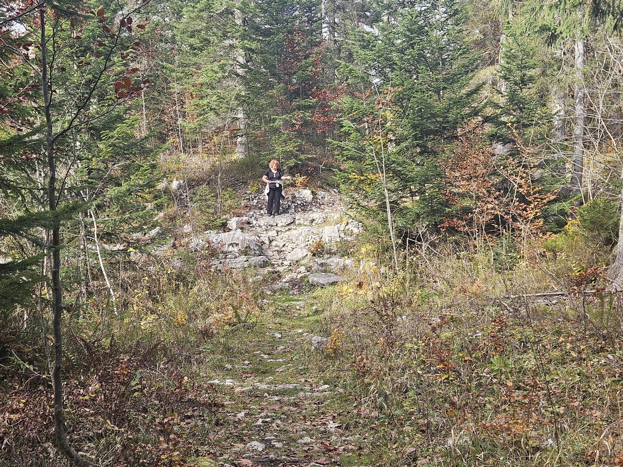 Auf dem Kammweg entlang Grenze und EHWS.