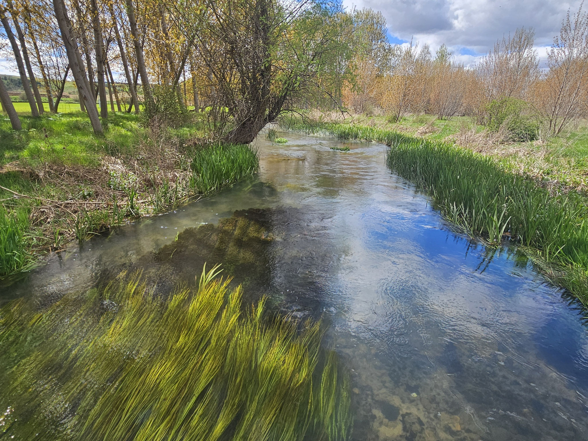 Río Gallo bei Castilnuovo.