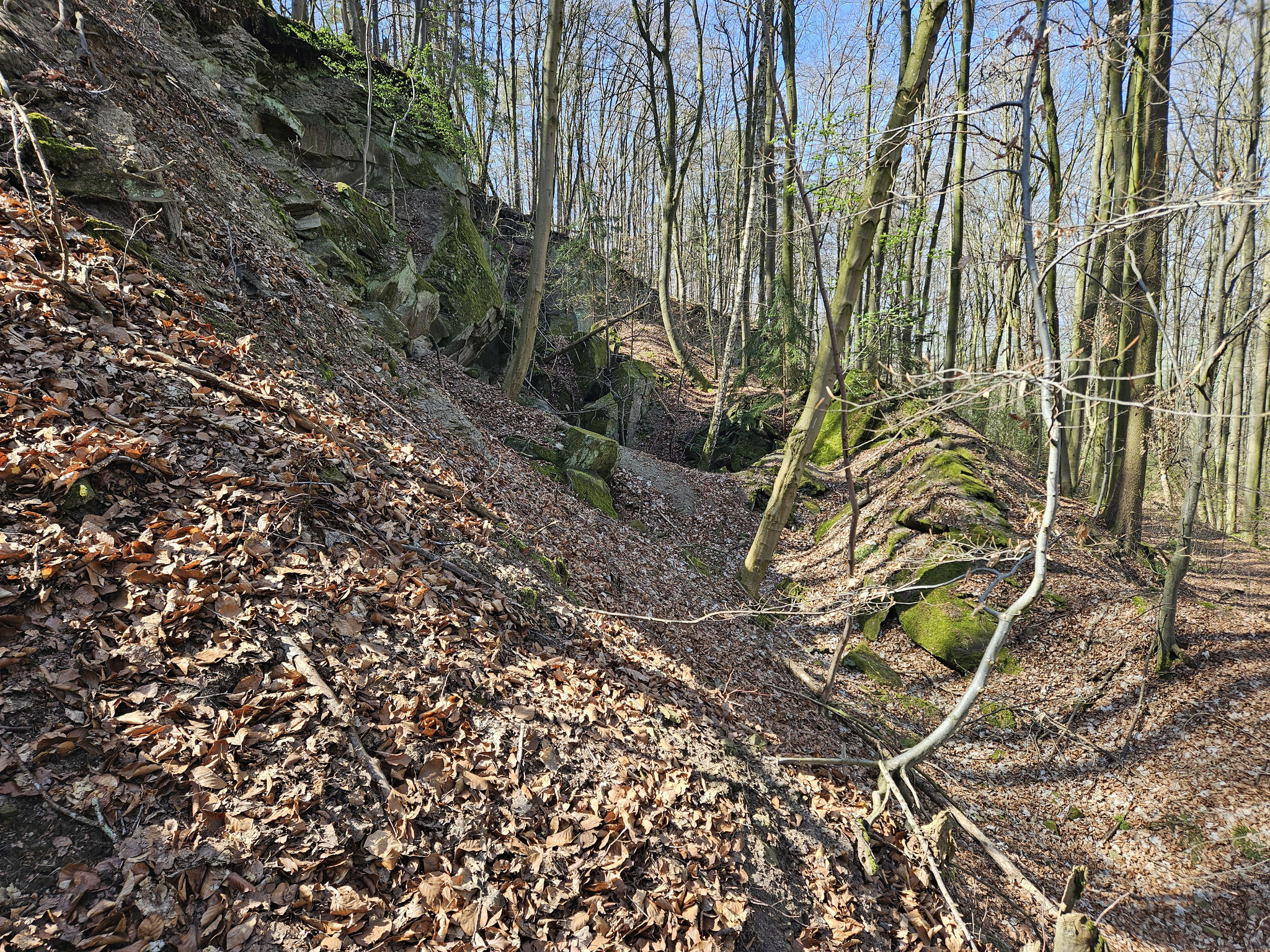 Erdrutschzone am Gailnauer Berg.